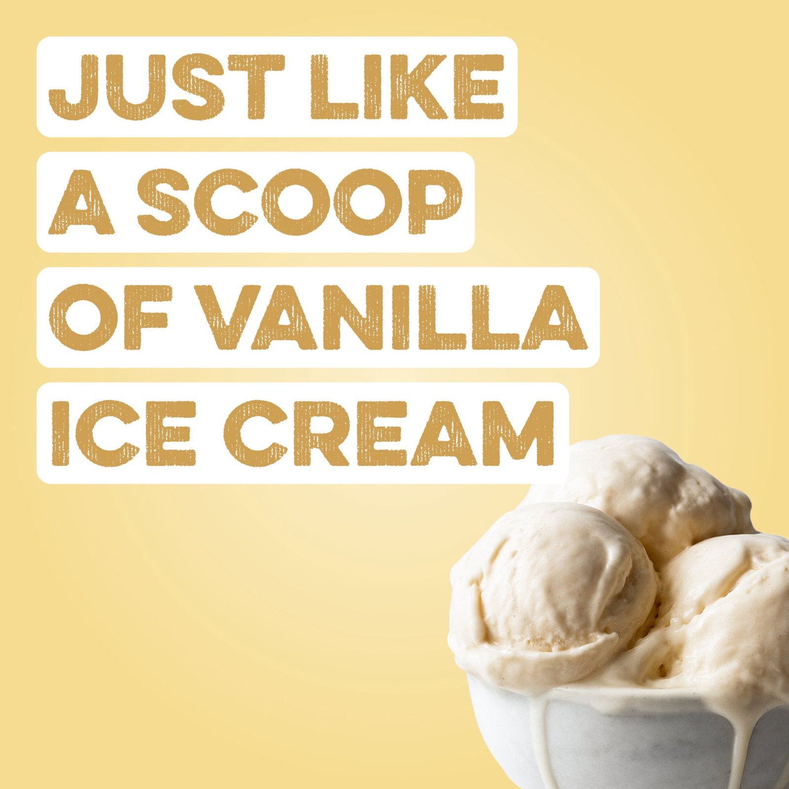 Clean Simple Eats Simply Vanilla Protein Powder 20 Servings (FREESHIP)