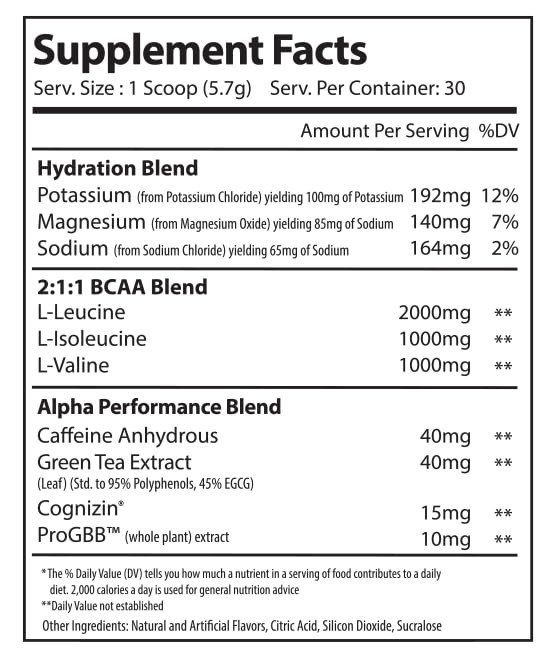 Amino Energy Recovery Powder – BCAA Hydration Blend with Electrolytes – Focus &