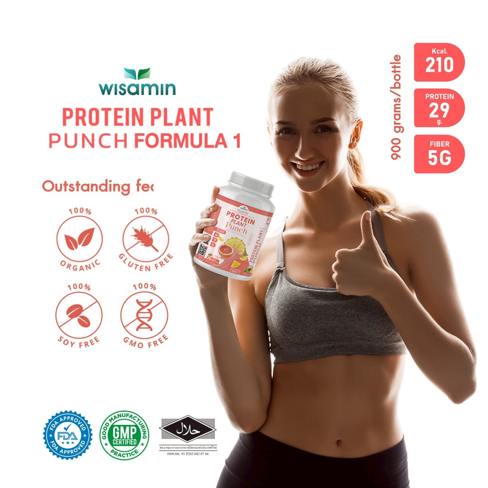 WISAMIN Plant Protein Punch Flavor 900g | 29g Protein, Organic, Vegan, Non GMO
