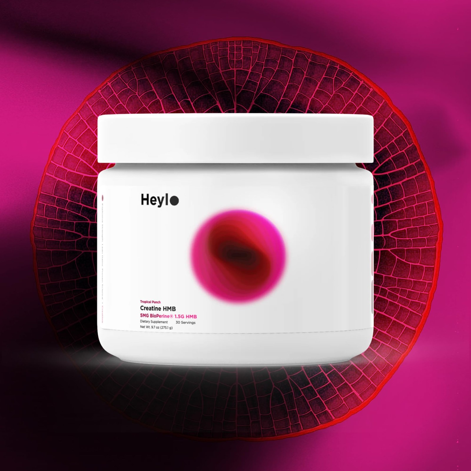 Heylo Creatine Monohydrate Powder 5g HMB Vitamin D Calcium 30 Ct Tropical Punch