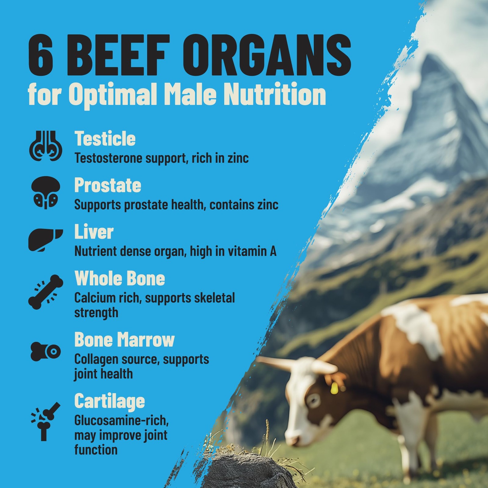 Grass Fed Beef Organ Supplement for Men – Male Optimization Pills – 90 Count
