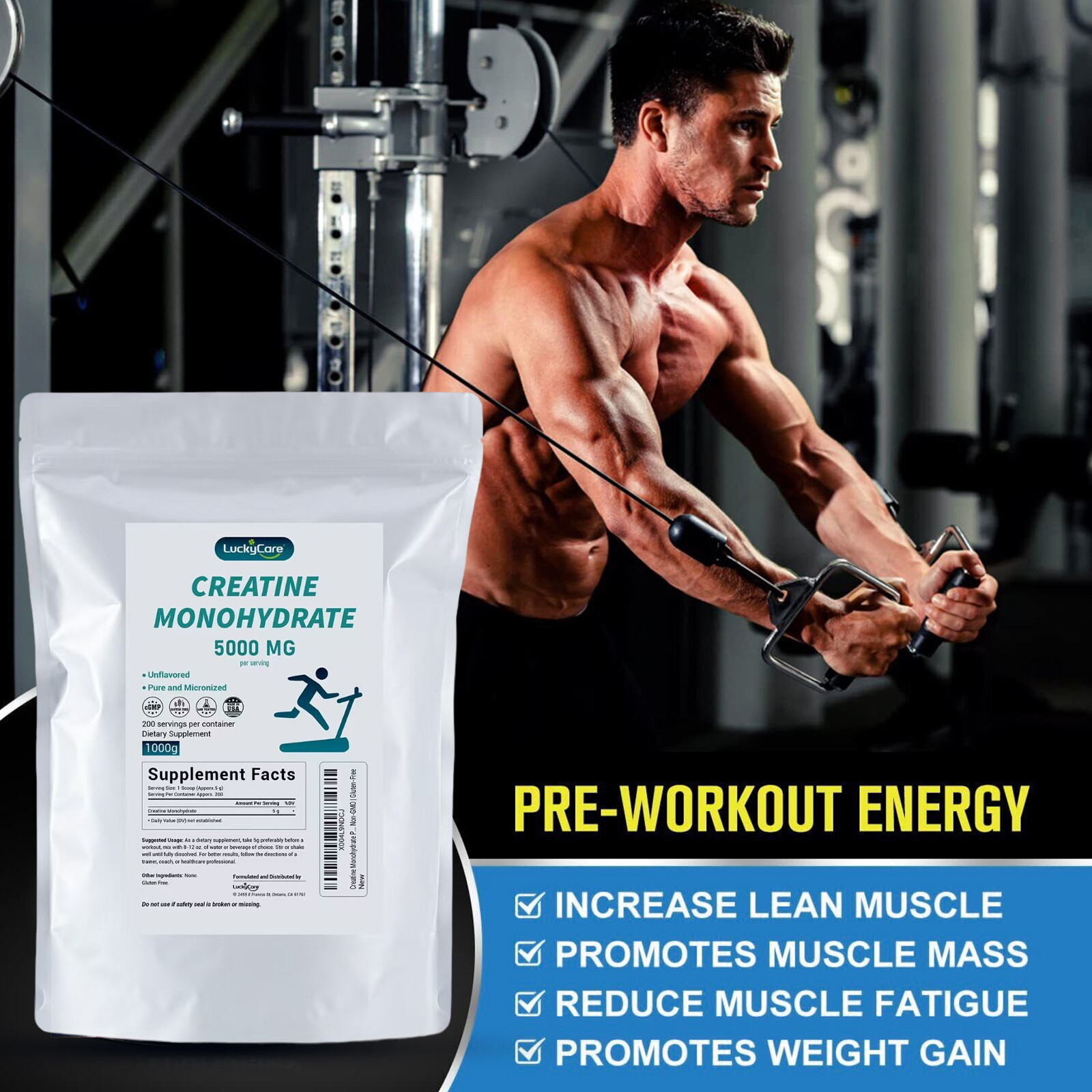 Muscle Gainer Protein Powder Optimum Nutrition Protein Muscle Gainer Fitness US