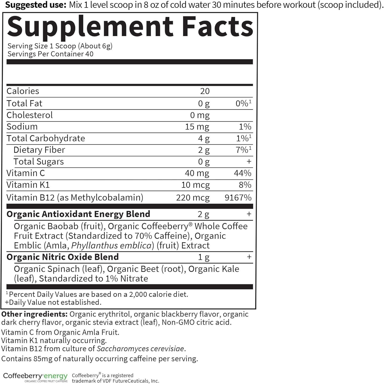 Plant-Based Pre Workout with Organic Caffeine & B12 – 40 Servings (Gluten Free)