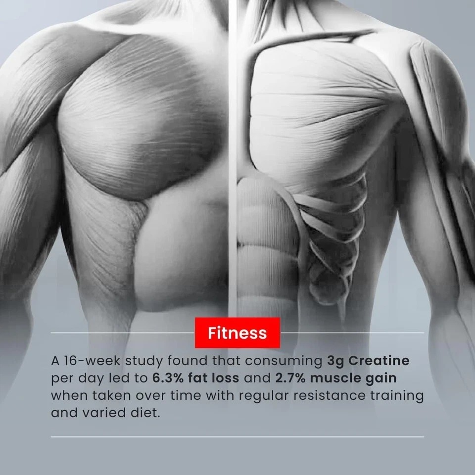 Creatine [155g, 50 Servings]| Blueberry | Micronized Creatine Monohydrate