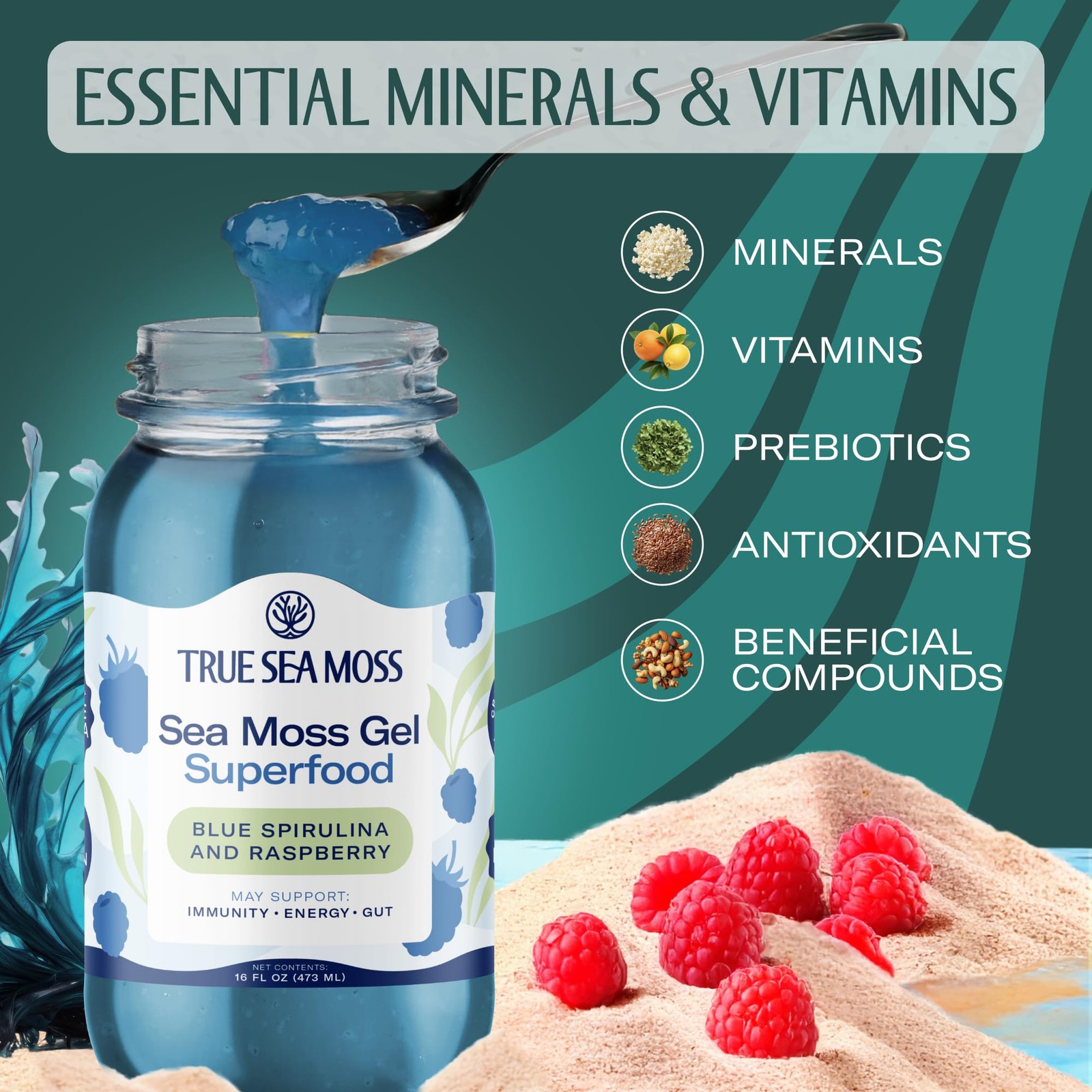 Sea Moss Gel – USA Made, Wildcrafted, Blue Spirulina, Fresh Fruits, 2 Pack