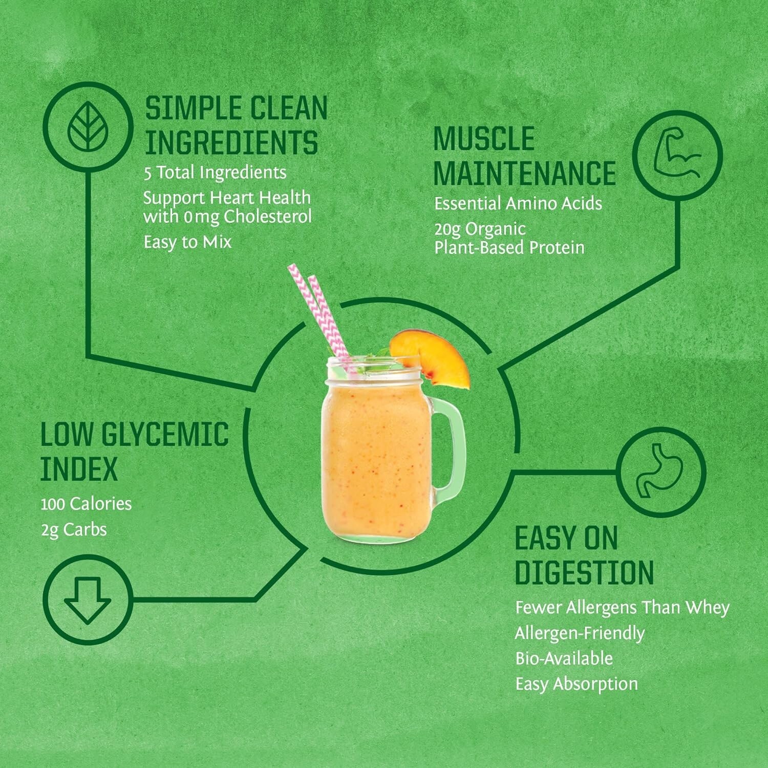 Sunwarrior Organic Classic Vanilla Protein 750g, Vegan Sprouted Protein Powder
