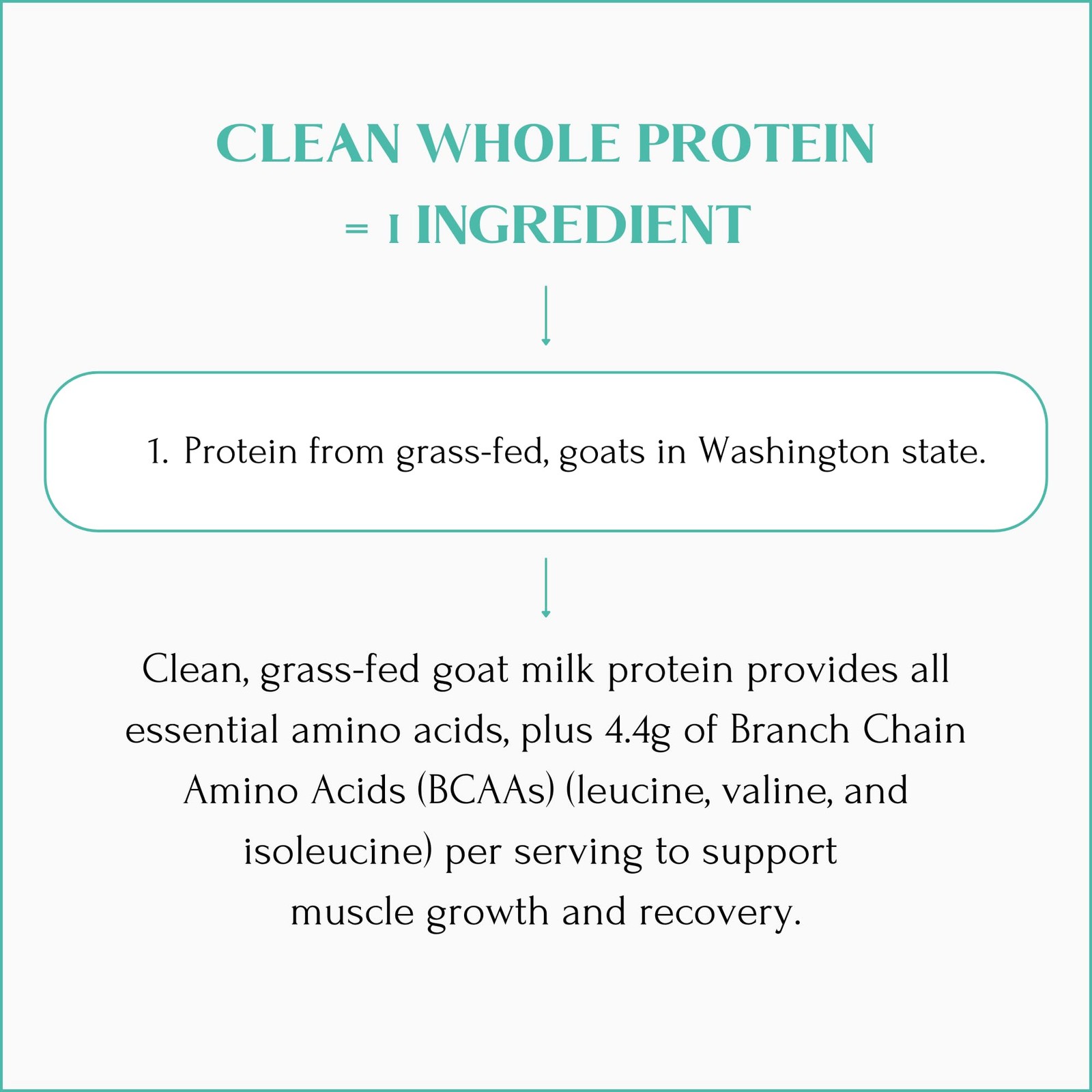 Mt. Capra Clean Whole Protein | Grass-Fed Goat Protein with Whey and Casein P…