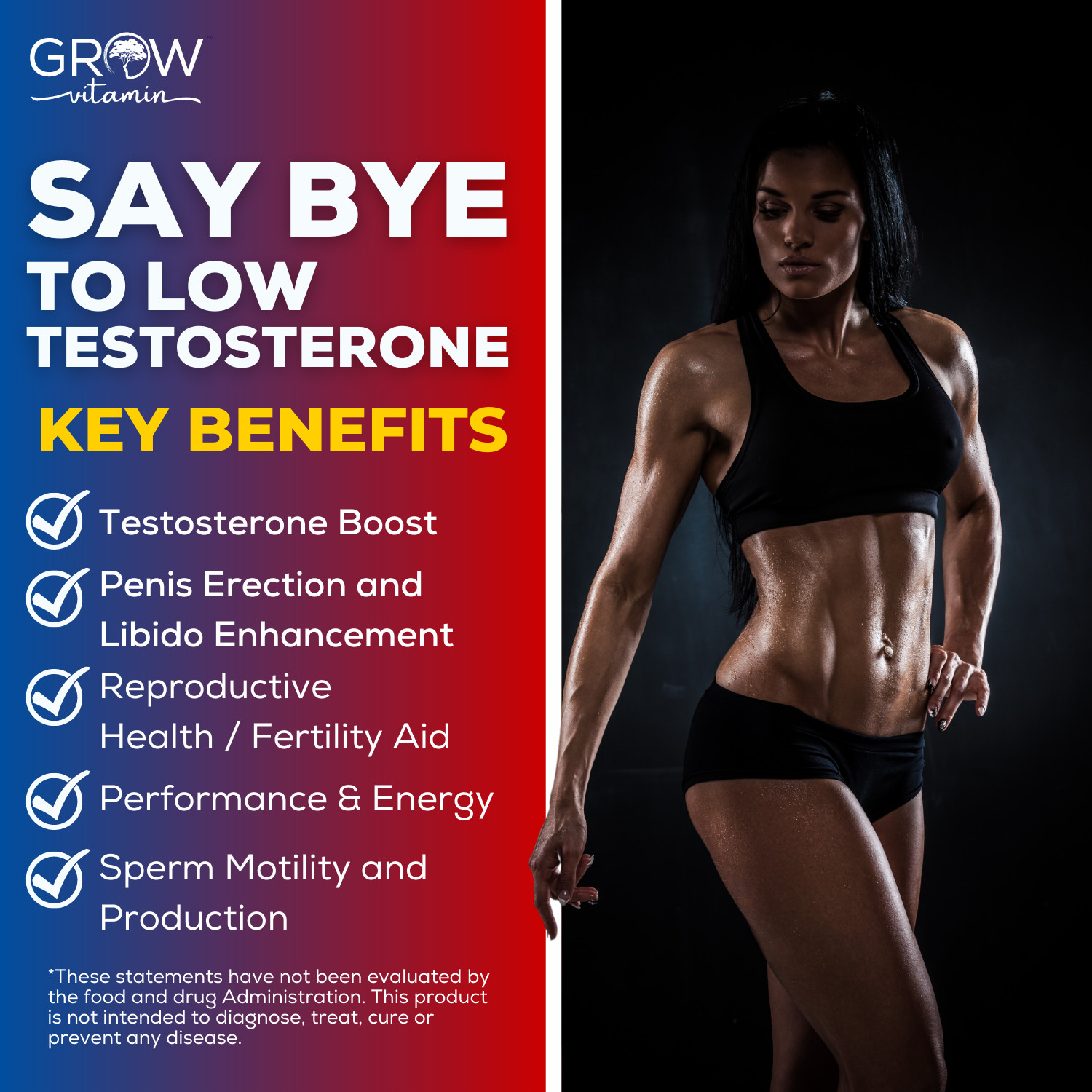 PRIME LABS TESTOSTERONE Booster Men’s Test Natural Stamina Endurance 90 Capsules