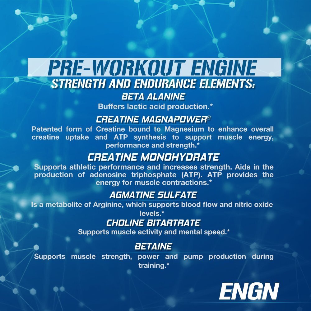 EVL ENGN Blue Raz Preworkout Powder 30 Servings Energy Focus Recovery Supplement