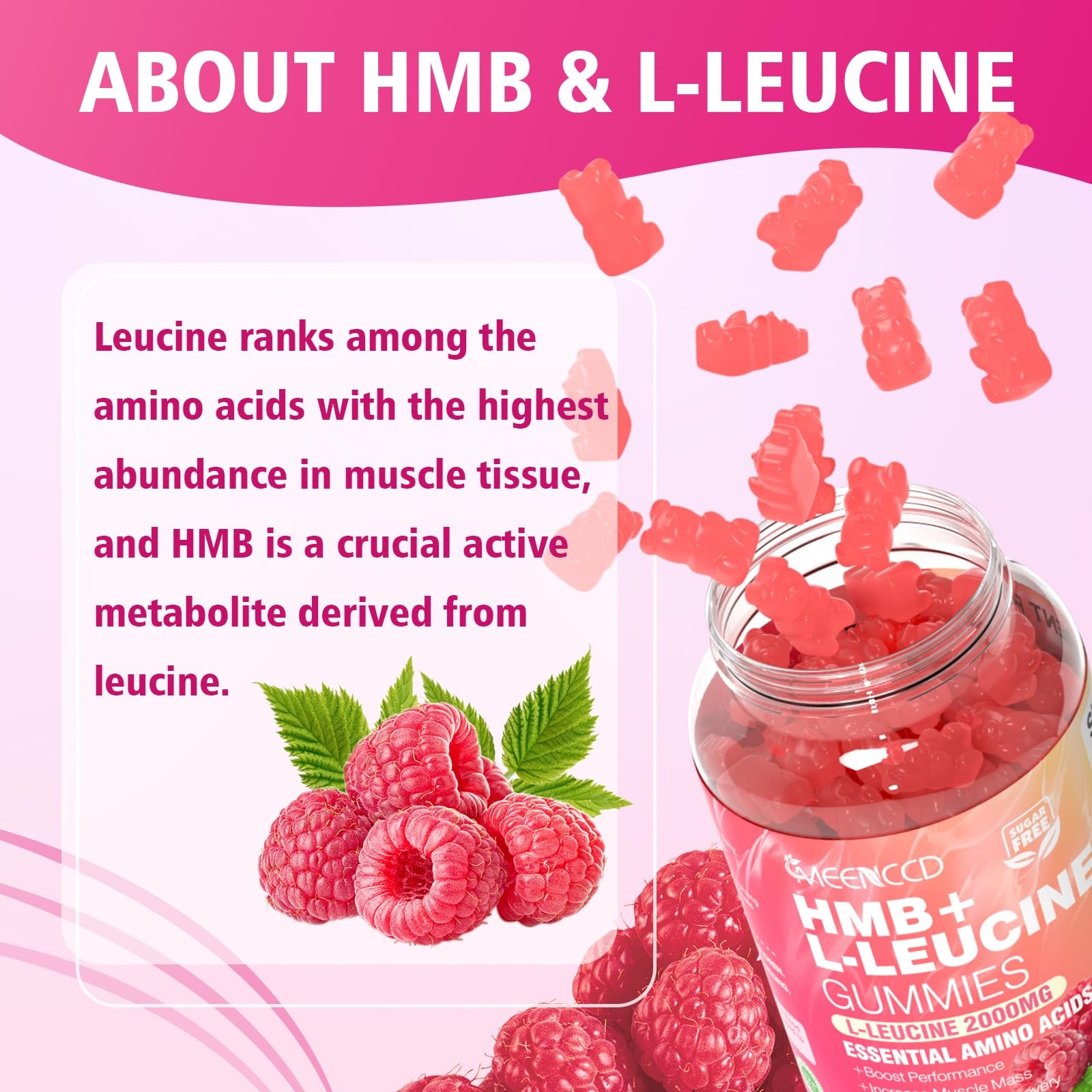 HMB and L-Leucine Gummies, 3000mg HMB and Leucine Amino Acid for Muscle Growt…