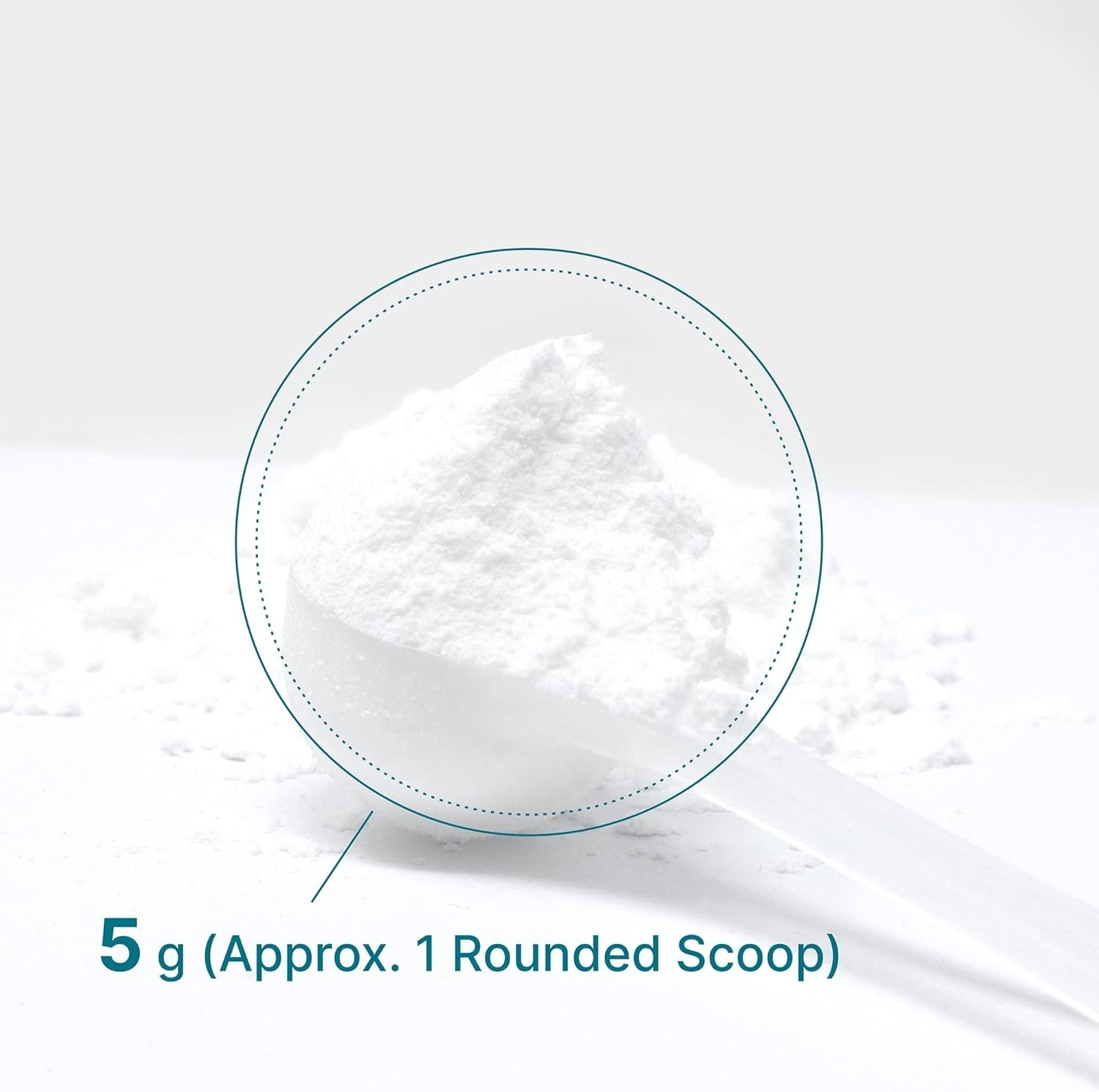Creatine Monohydrate Powder – for Men and Women – 5G Creapure Creatine, Support