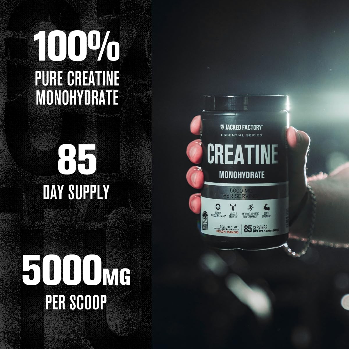 Jacked Factory Creatine Monohydrate Powder 425g – 5g 85 Servings (Pack of 1)