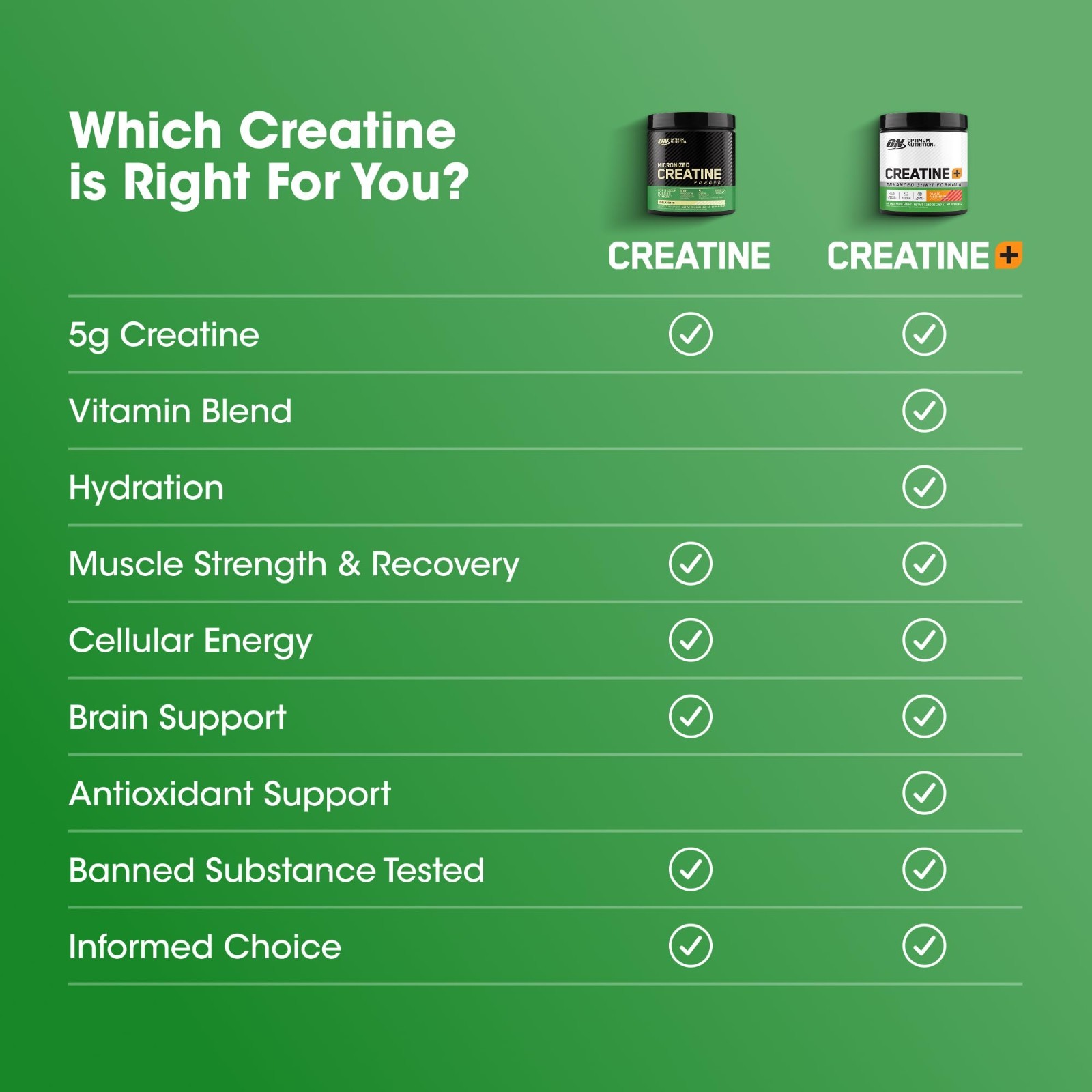 Micronized Creatine Monohydrate Powder – Unflavored, 120 Servings, 600g (2 Pack)