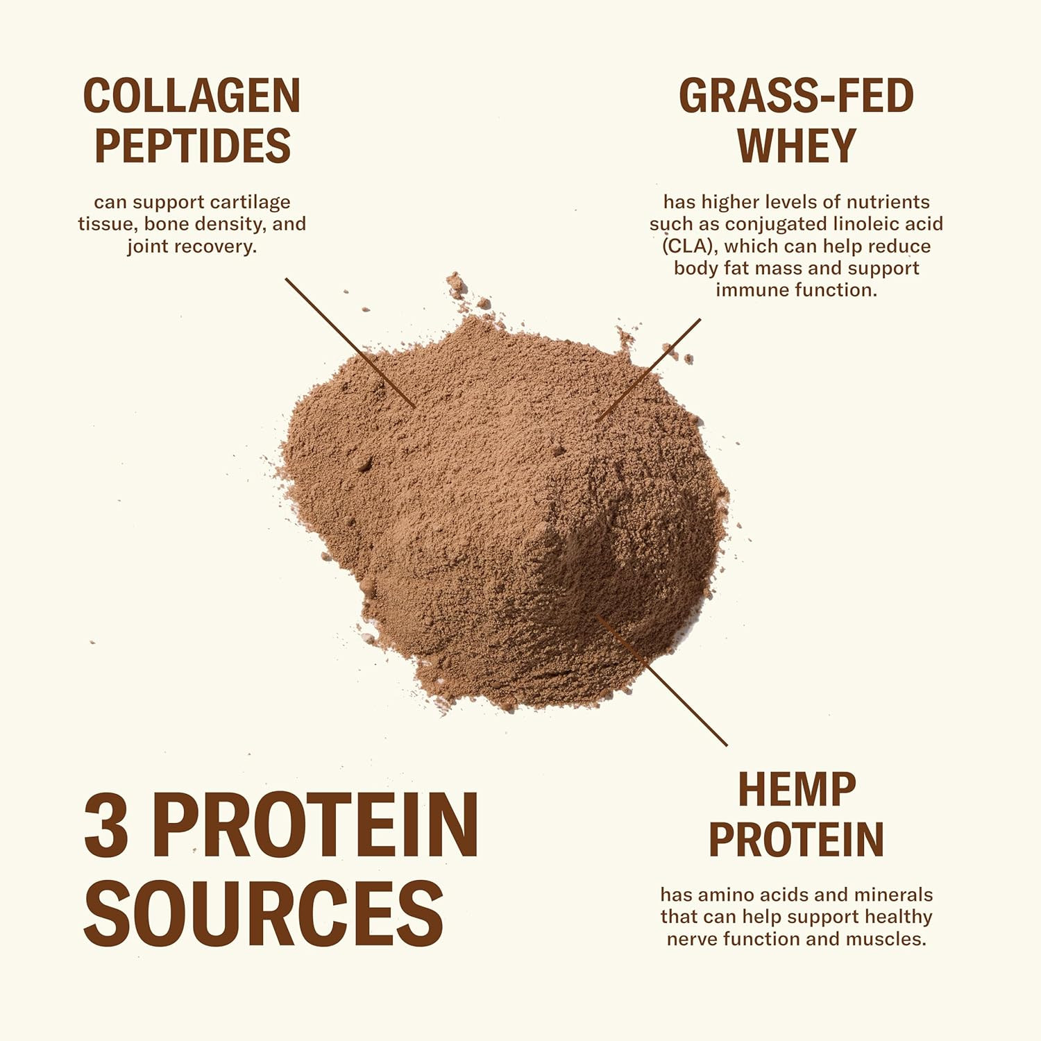 Grass Fed Whey Protein Powder Creamy Chocolate, 24G Protein with Collagen Peptid