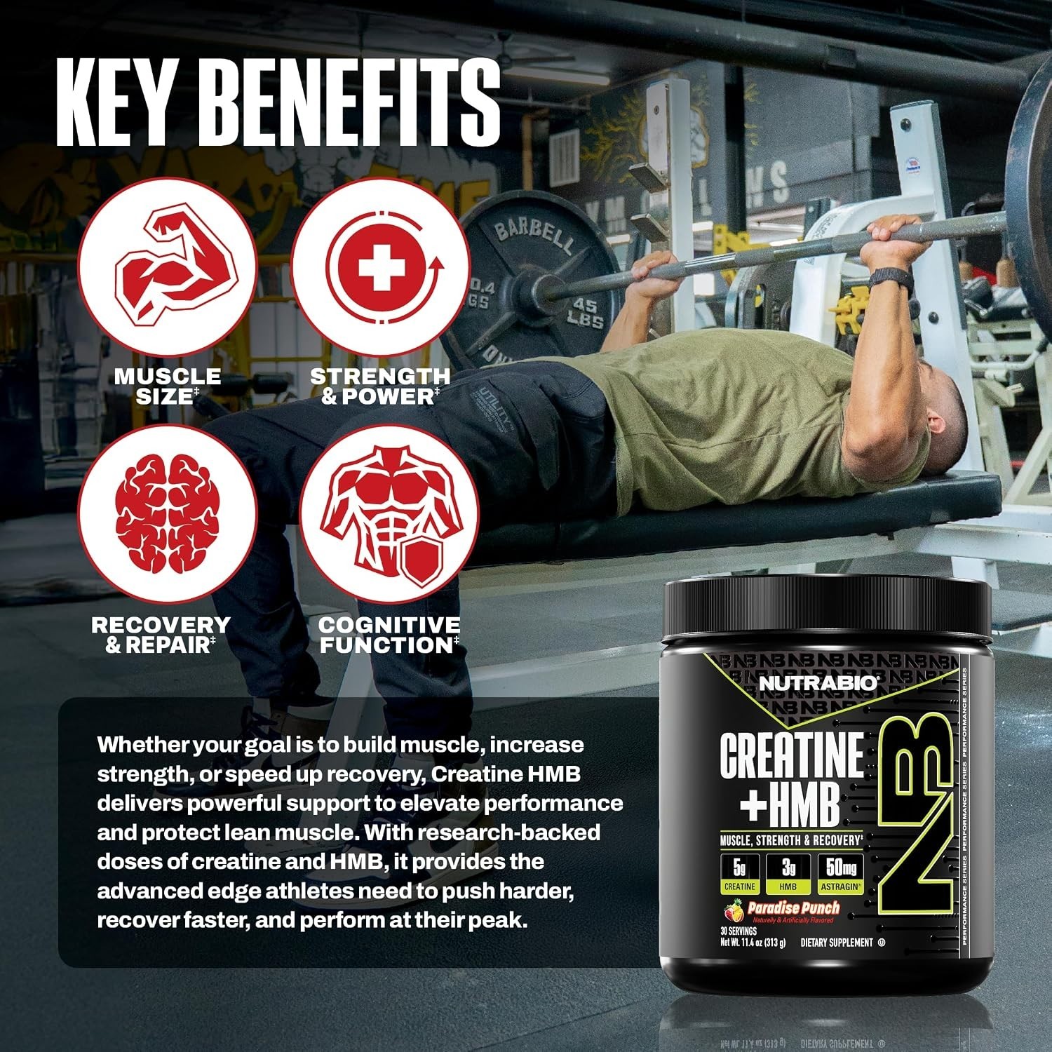 NutraBio Creatine + HMB- Creatine Monohydrate with HMB Powder for Muscle Growth
