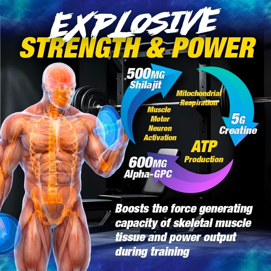 Pre-Workout Supplement for Muscle Growth & Strength | Creatine, Beta Alanine, Ci