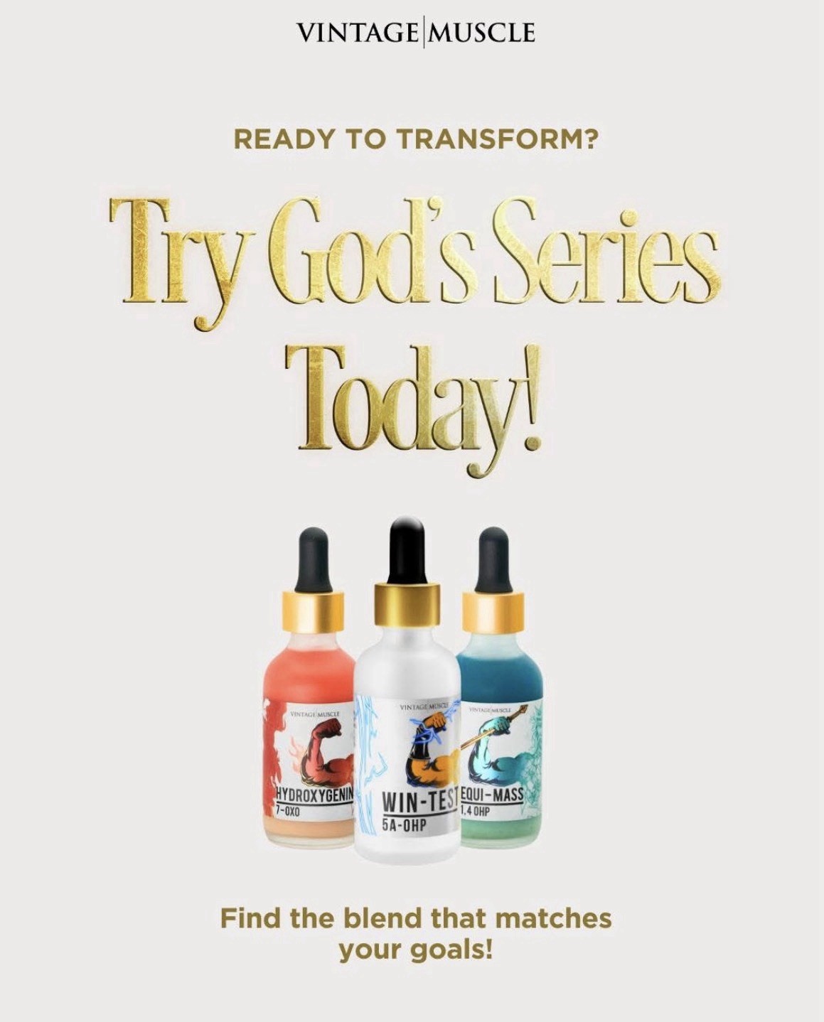 VM💪Cycle🔁Deal God Series;Lean MassGains: Wintest,Equi,Hydroxy &PCT💊🏛️🔱🔥⚡️