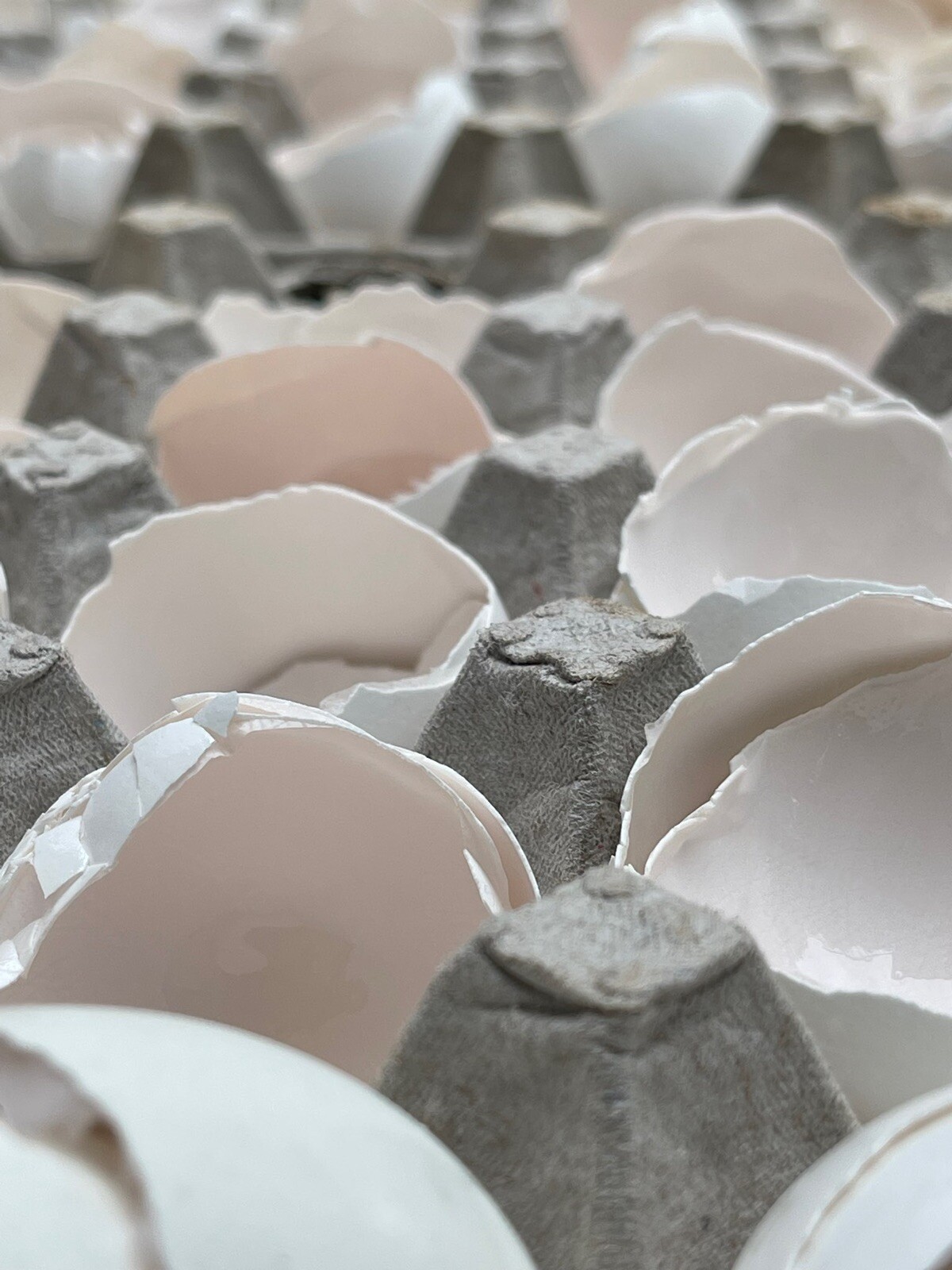 fresh egg whites 100% Liquid Egg Whites cage free eggs Frozen from fresh 64oz