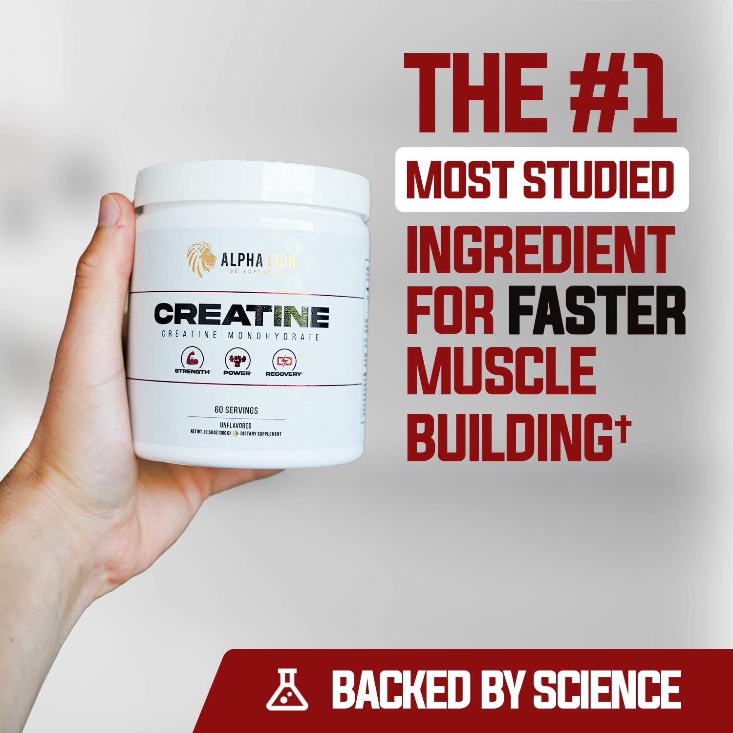 ALPHA LION Creatine Monohydrate Powder, 5000mg Per 12.48 Ounce (Pack of 1)
