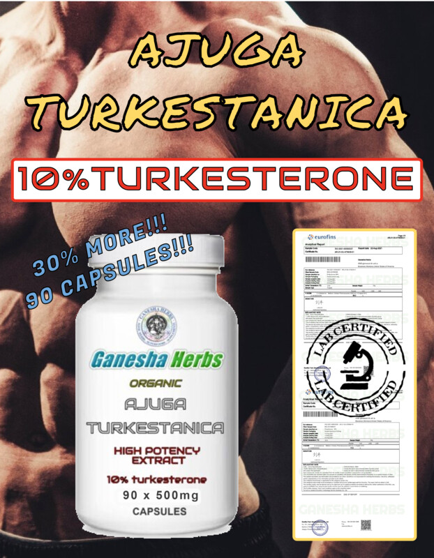 AJUGA TURKESTANICA High Potency Extract 10%TURKESTERONE 90 Capsules!!