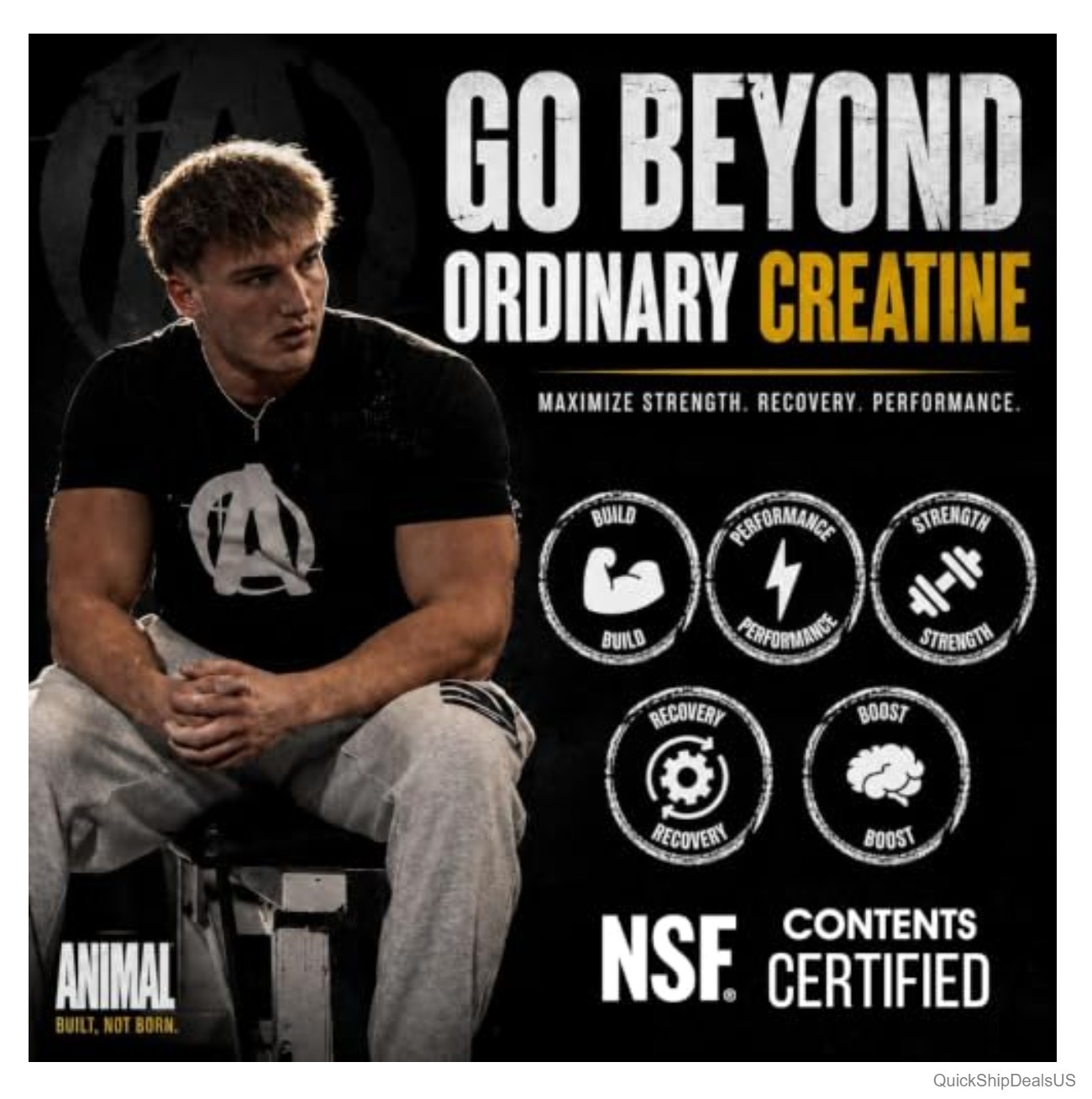 Micronized Creatine Monohydrate Powder 5g Per Serving Unflavored 300g Muscle