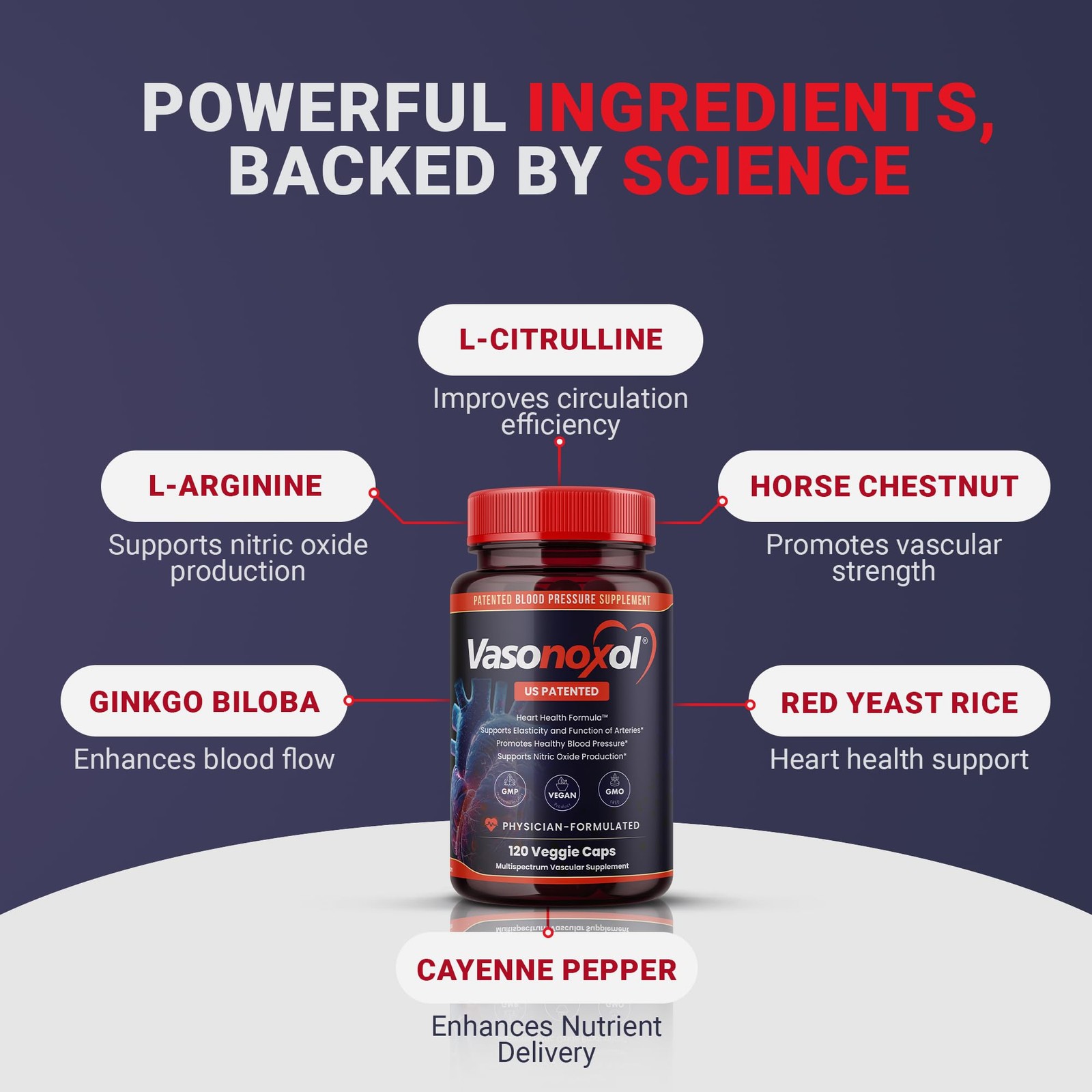 Panoxol Vasonoxol U.S. Patented Nitric Oxide Supplement For Blood –