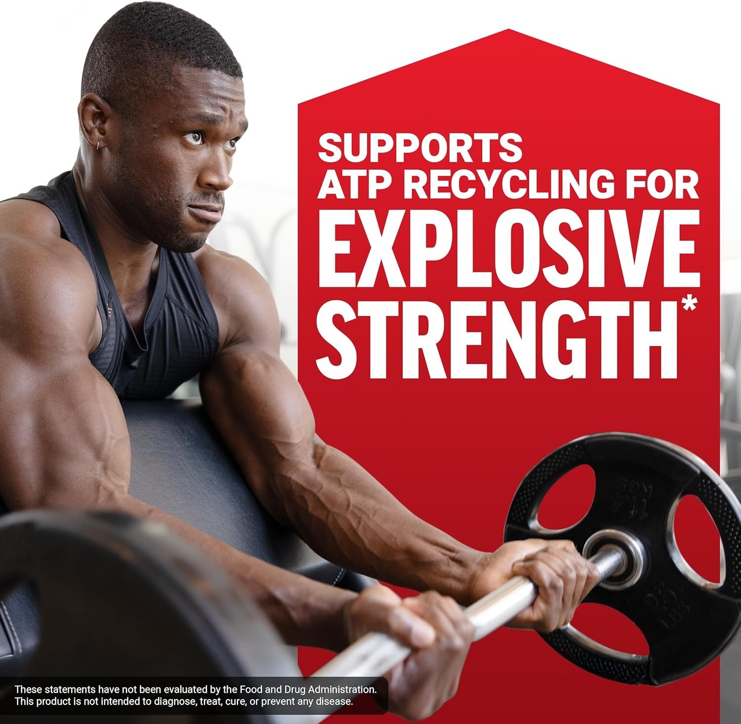Micronized Creatine Monohydrate 500G – Pure Performance & Cognitive Health