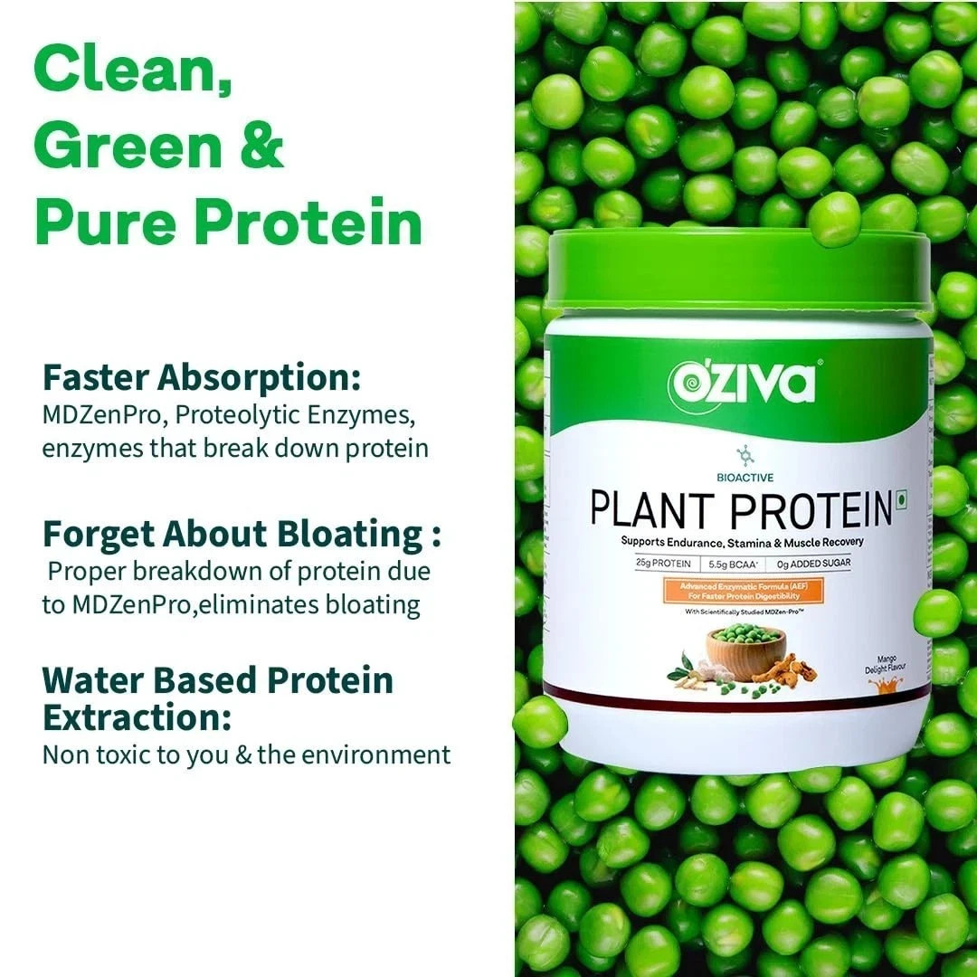 OZiva Plant Protein 500gm Powder Chocolate 25gm Protein BCAA Vegan No Sugar