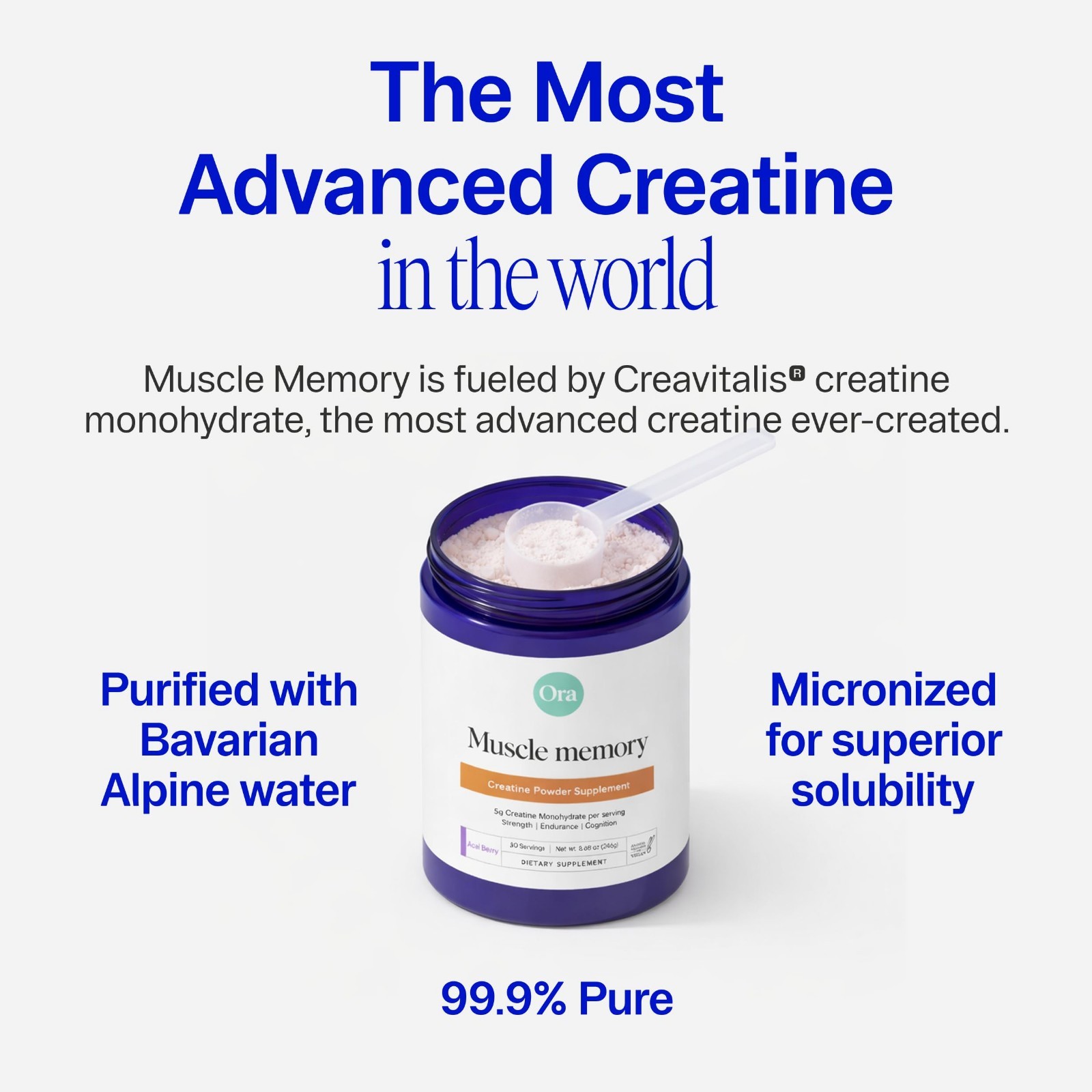 Micronized Creatine Monohydrate Powder for Strength & Energy, D-Ribose, Taurine,