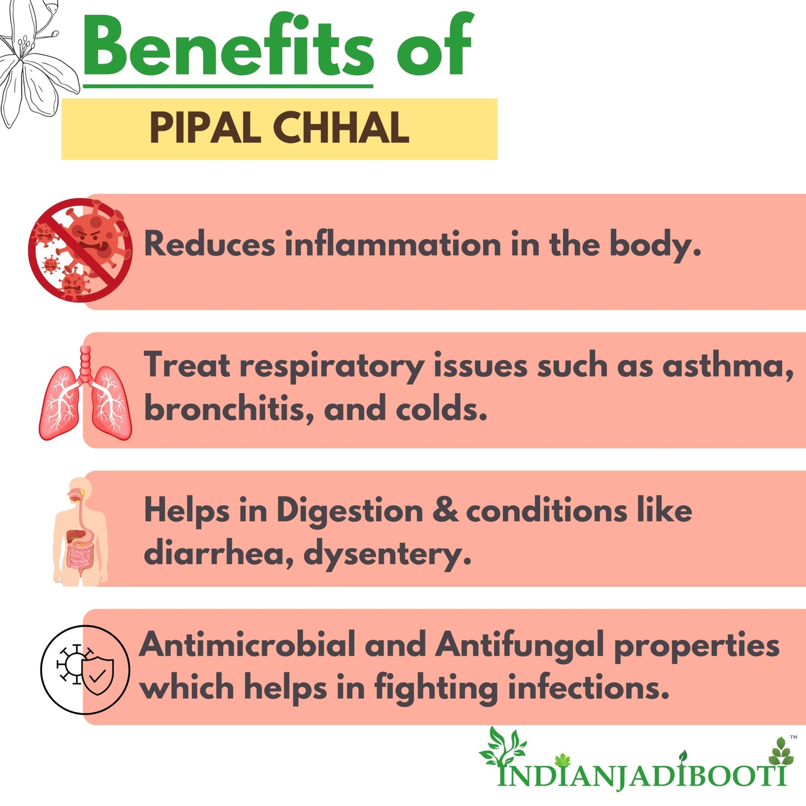 Indian Jadi Booti Pipal Chaal – Pure Sacred Fig Bark 100g Pack of 2