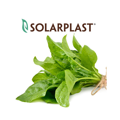 unique solarplast formula – LIVER DETOXIFIER 825mg – repair aging damage 2B