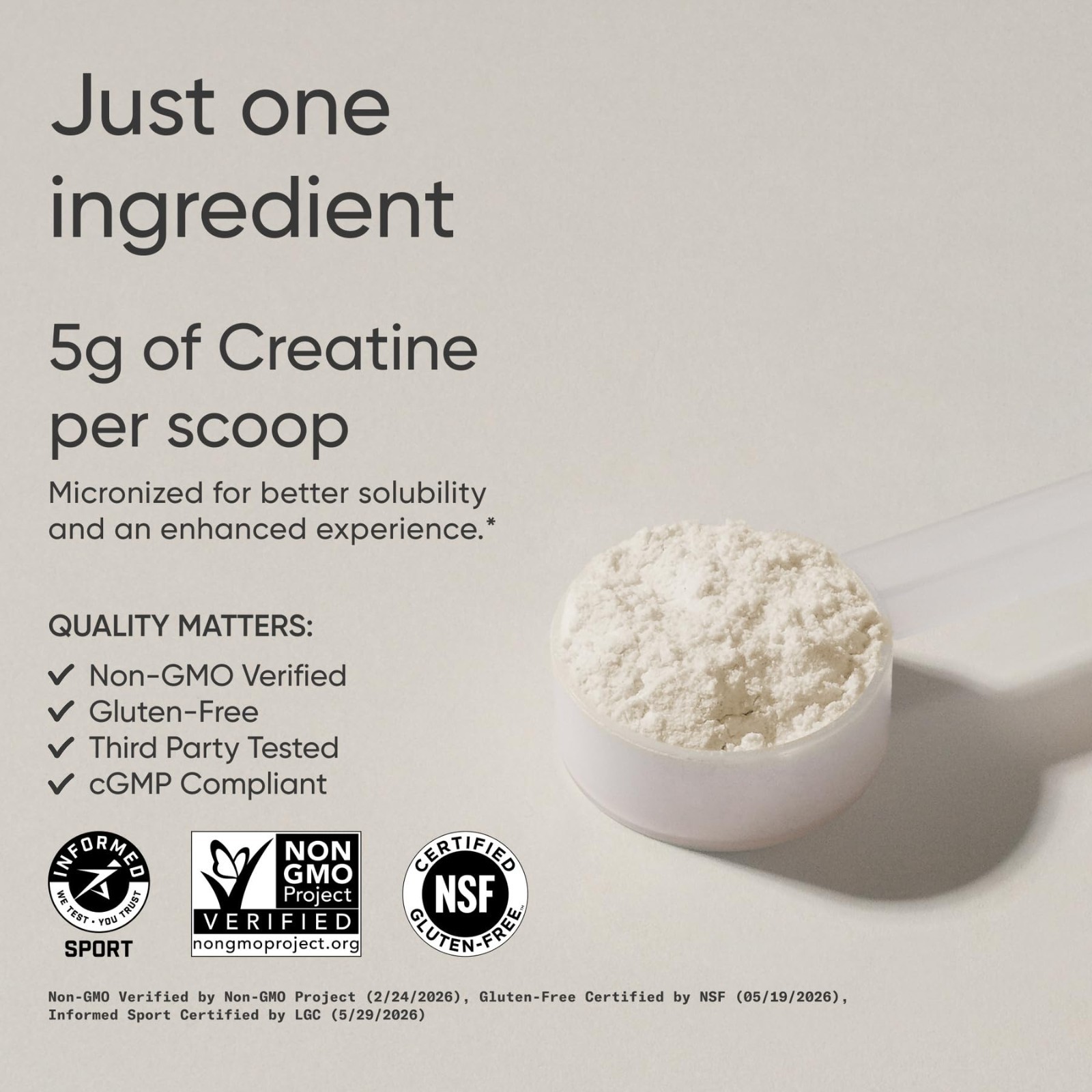 Creatine Monohydrate Powder 5g – Lemonade Flavor, 60 Servings | Lean Muscle Gain