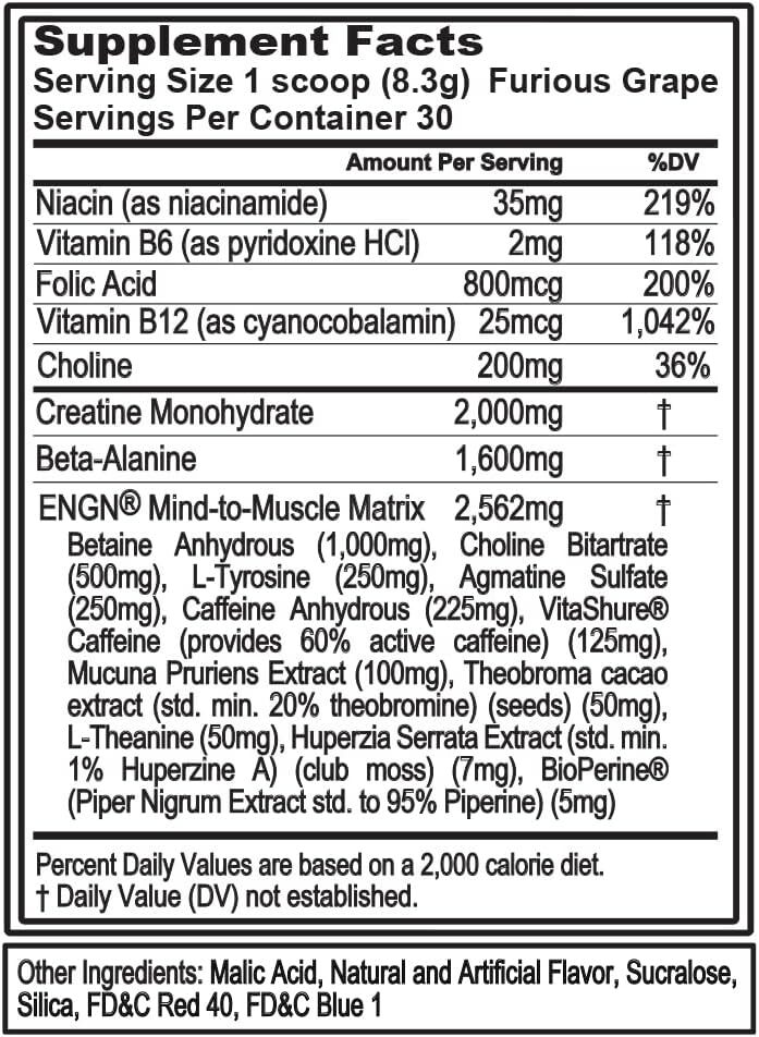 EVL ENGN Hardcore Fat Burning Pre Workout Energy Drink Mix | Choose Flavor