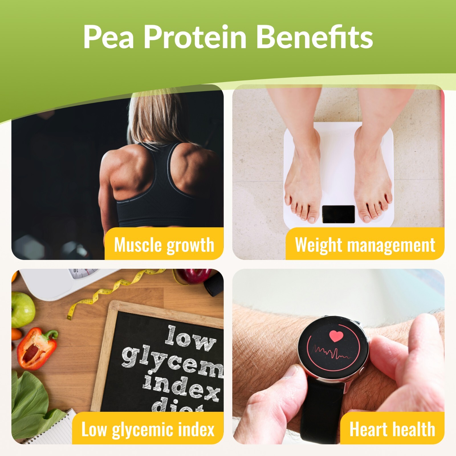Pea Protein Powder (80% Protein) Pure, Non-GMO, Vegan-2.2lb