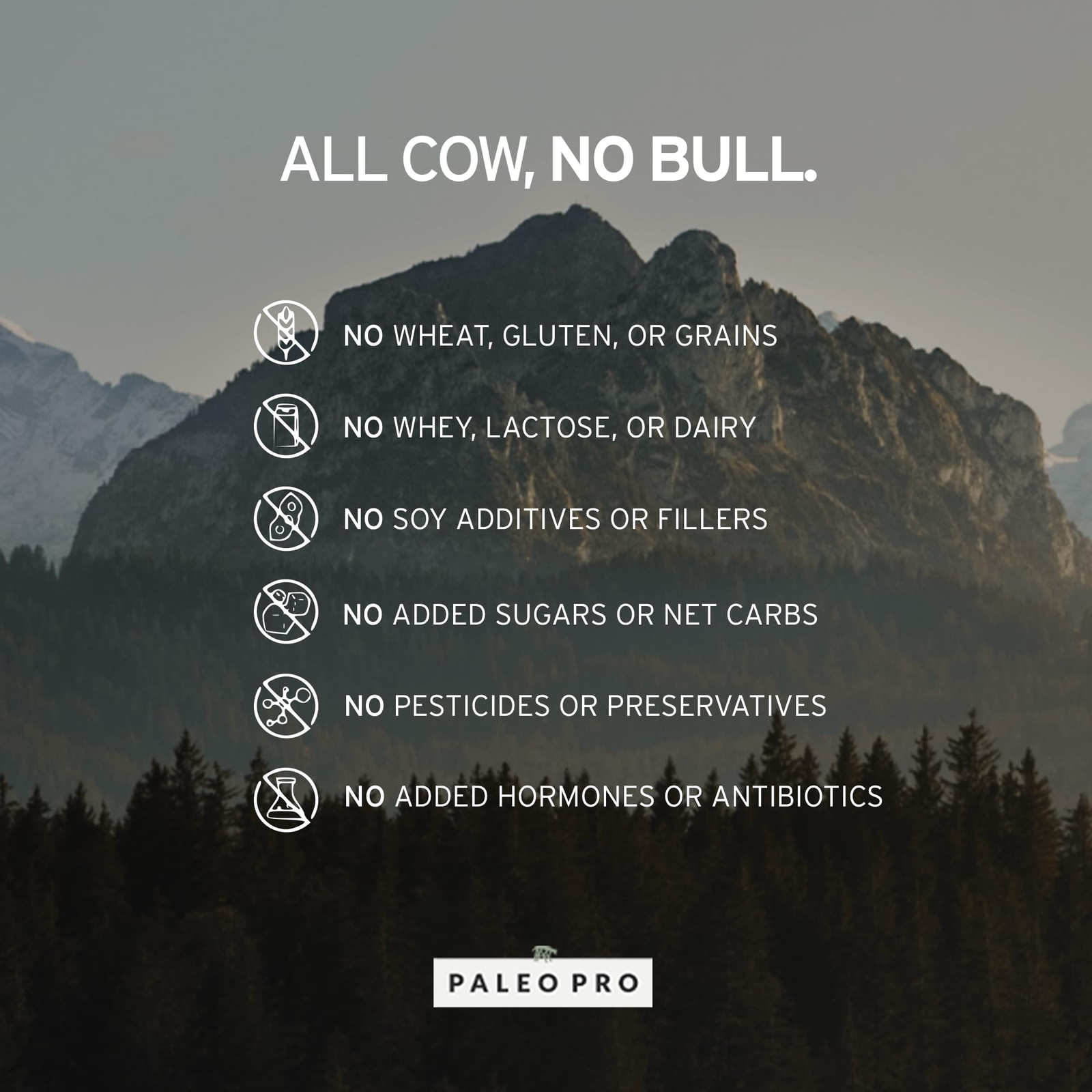 Paleo Protein Supplement Powder 1 Pound Grass Fed Beef Egg White Grain Free