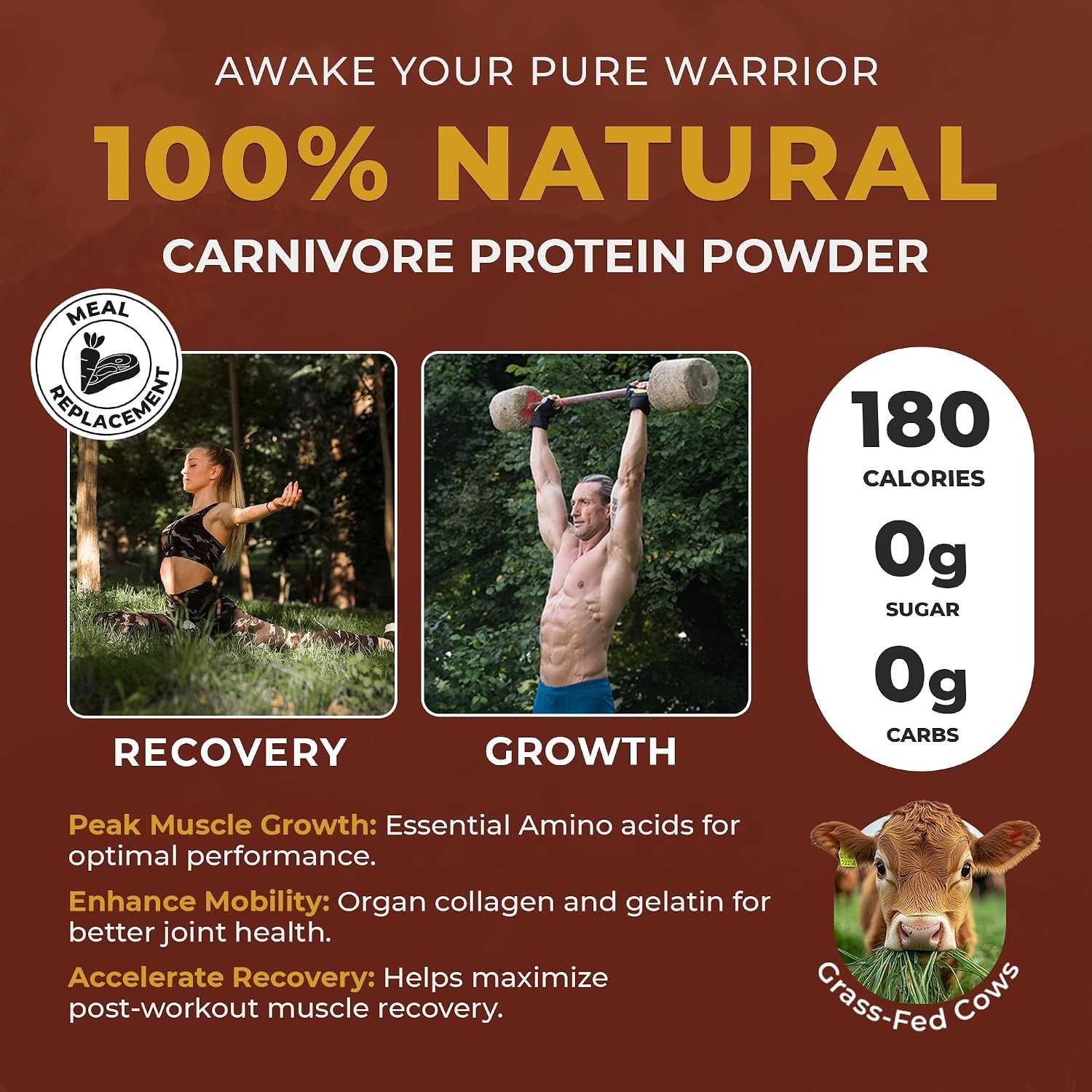 Keto & Paleo Protein with Ancient Cacao – Sugar-Free, Gluten-Free, 16oz