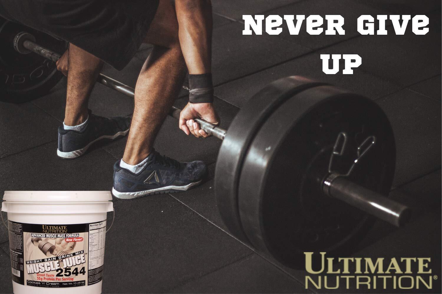 Ultimate Nutrition Muscle Juice 2544, Lean Muscle Mass Classic Gainer