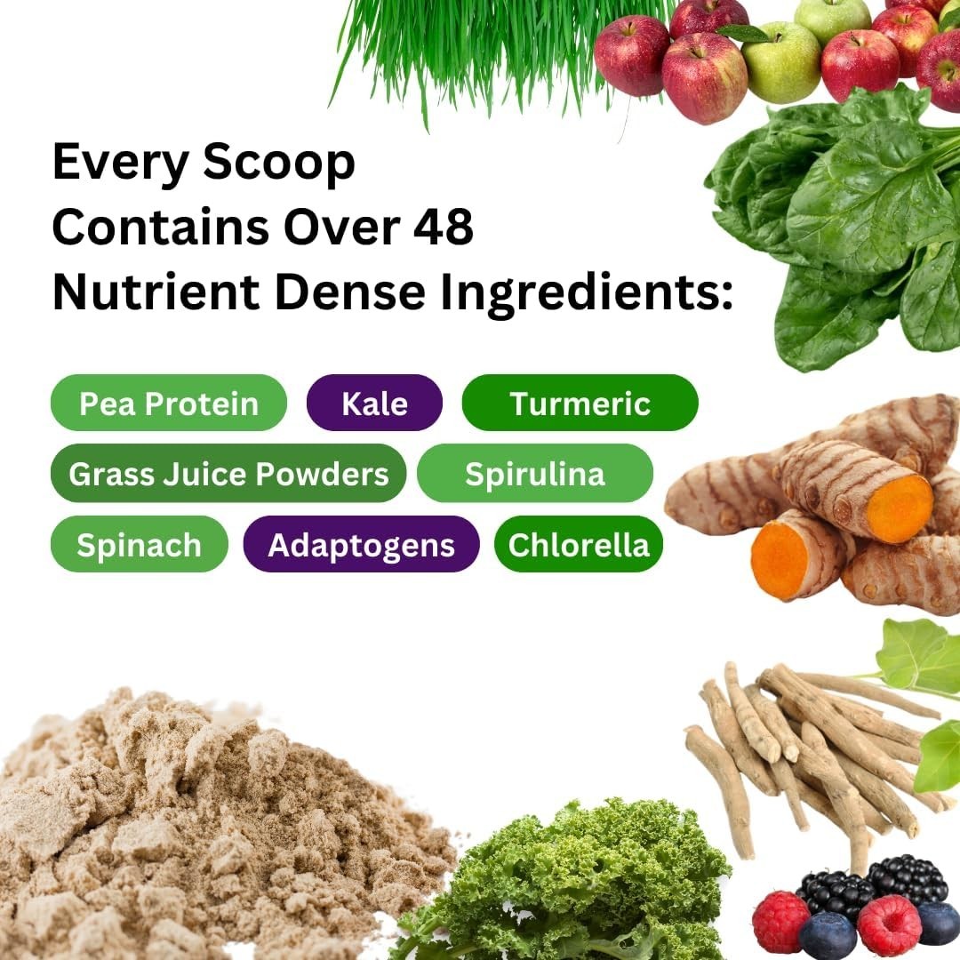 Organic ORAC Protein & Greens Powder – Vanilla Flavor, 20g Protein, 14 Servings