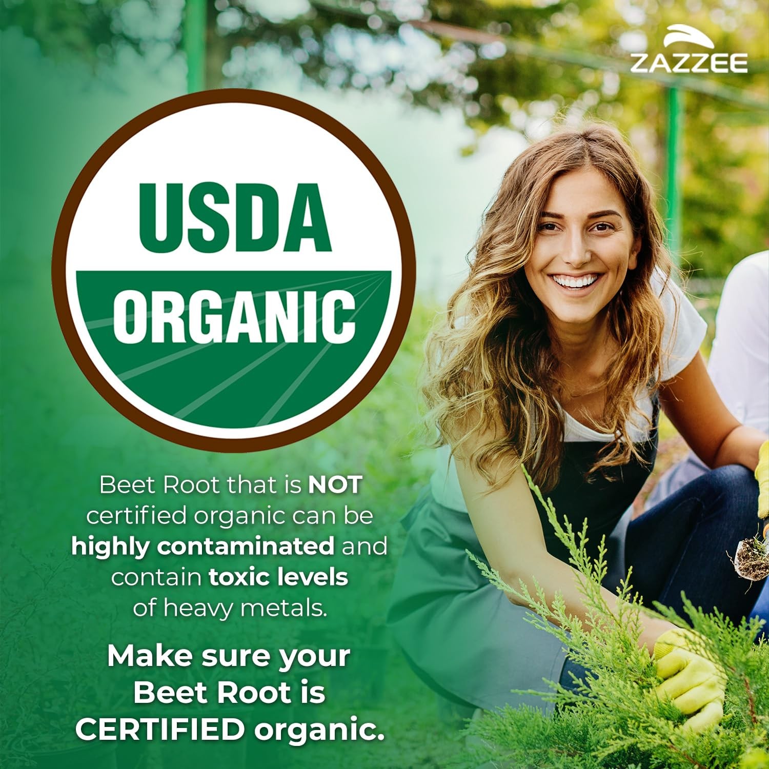 Zazzee Usda Organic Beet Root 8000 Mg Strength 201 Extract 120 Vegan Quick