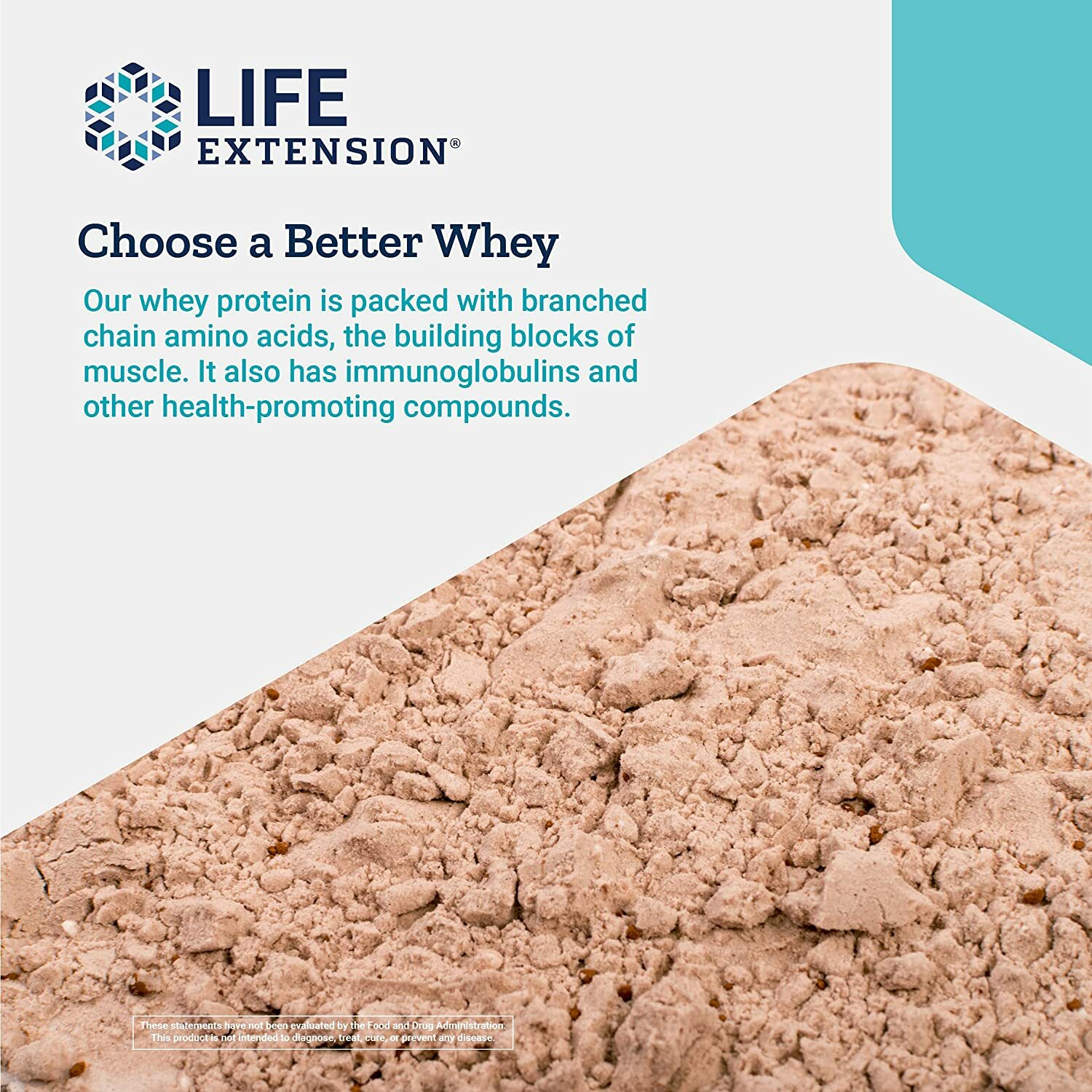 Life Extension Whey Protein Concentrate Chocolate Muscle Growth & Immune 2 Pack
