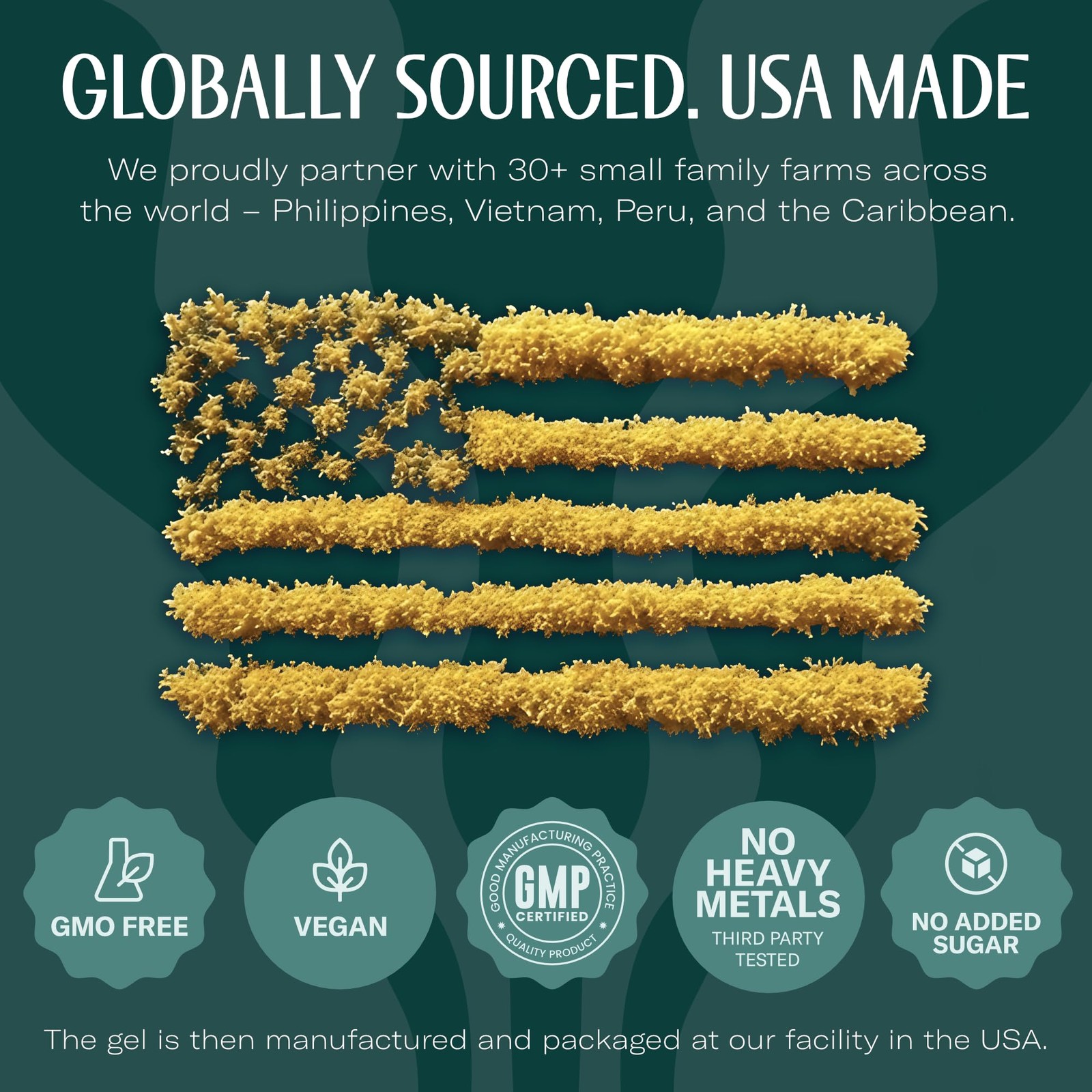 Sea Moss Gel – USA Made, Wildcrafted, Apple Cinnamon, Fresh Fruits & Vegetabl…