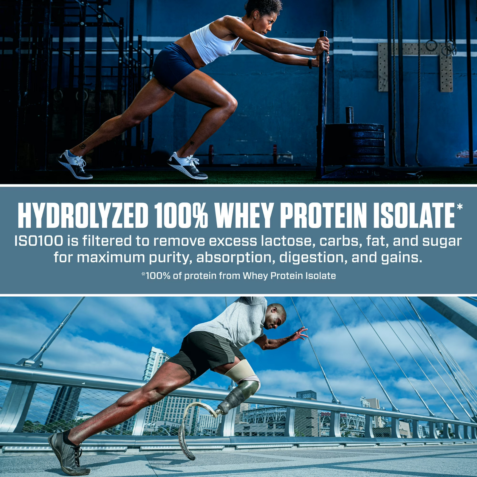 Dymatize ISO100 Hydrolyzed Whey Isolate Protein Powder Cinnamon Cereal 20 Ser