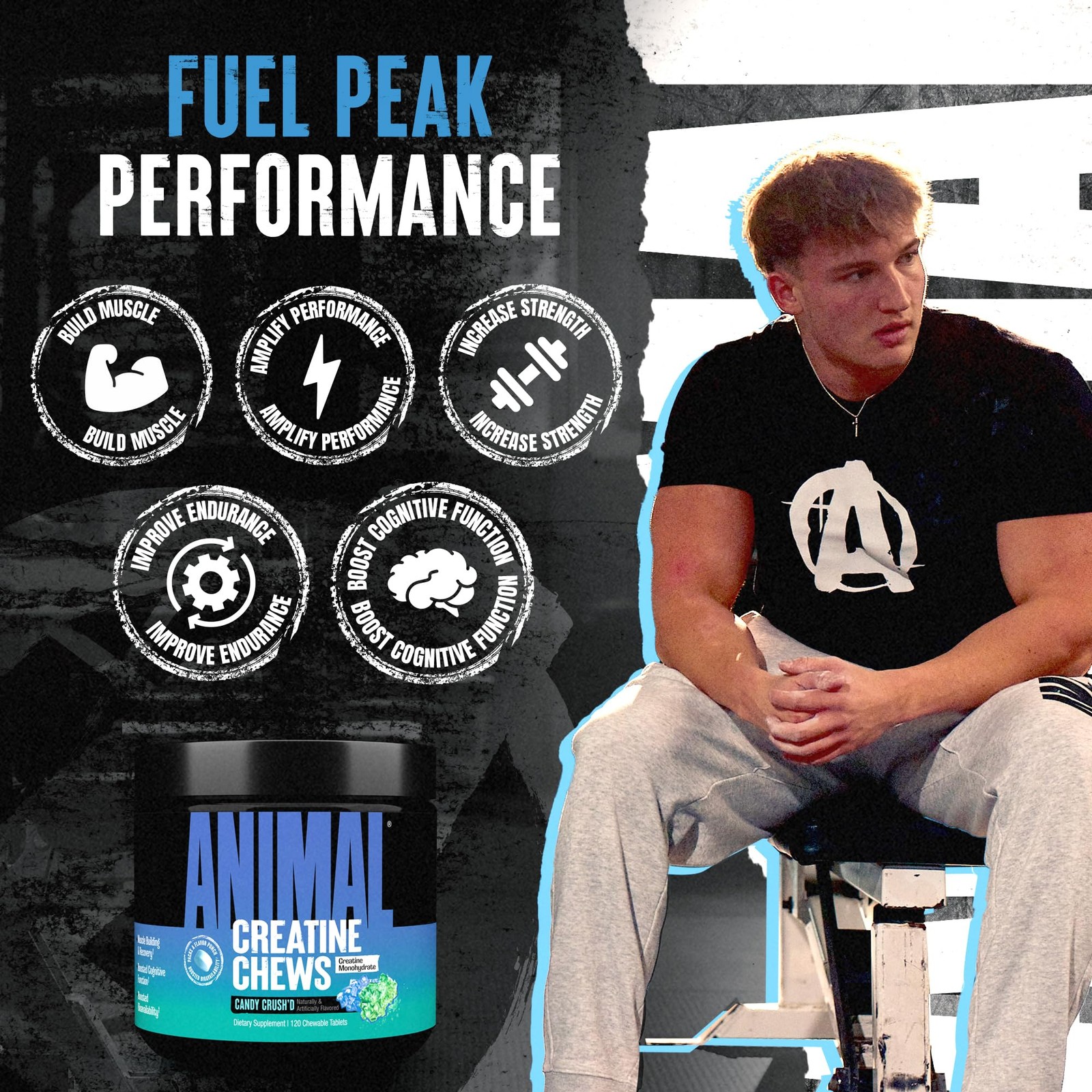 Animal Creatine Chews – Enhanced 120 Count (Pack of 1), No Color
