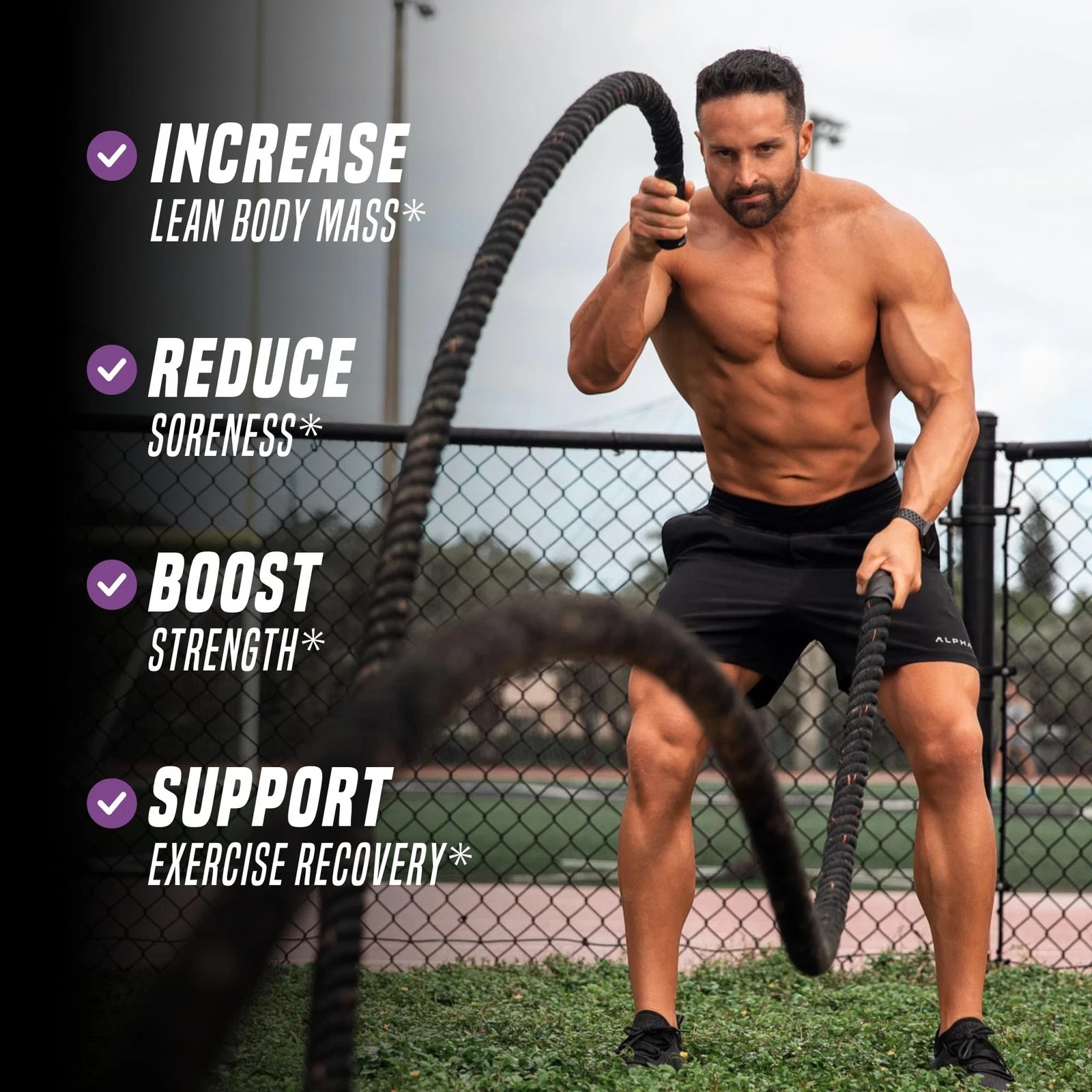 Outwork Nutrition Post Workout Recovery Powder Creatine Monohydrate, KSM66 A…