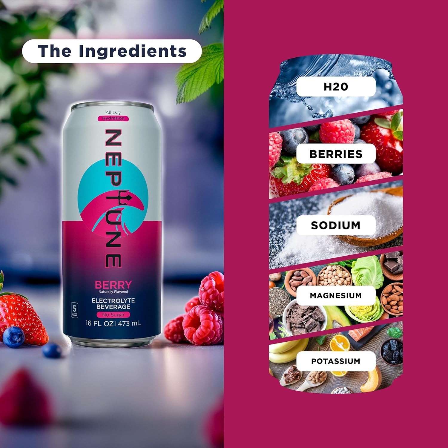 Neptune – Sugar Free, Electrolytes, Hydration Drink – Berry, 16oz (12 Cans)