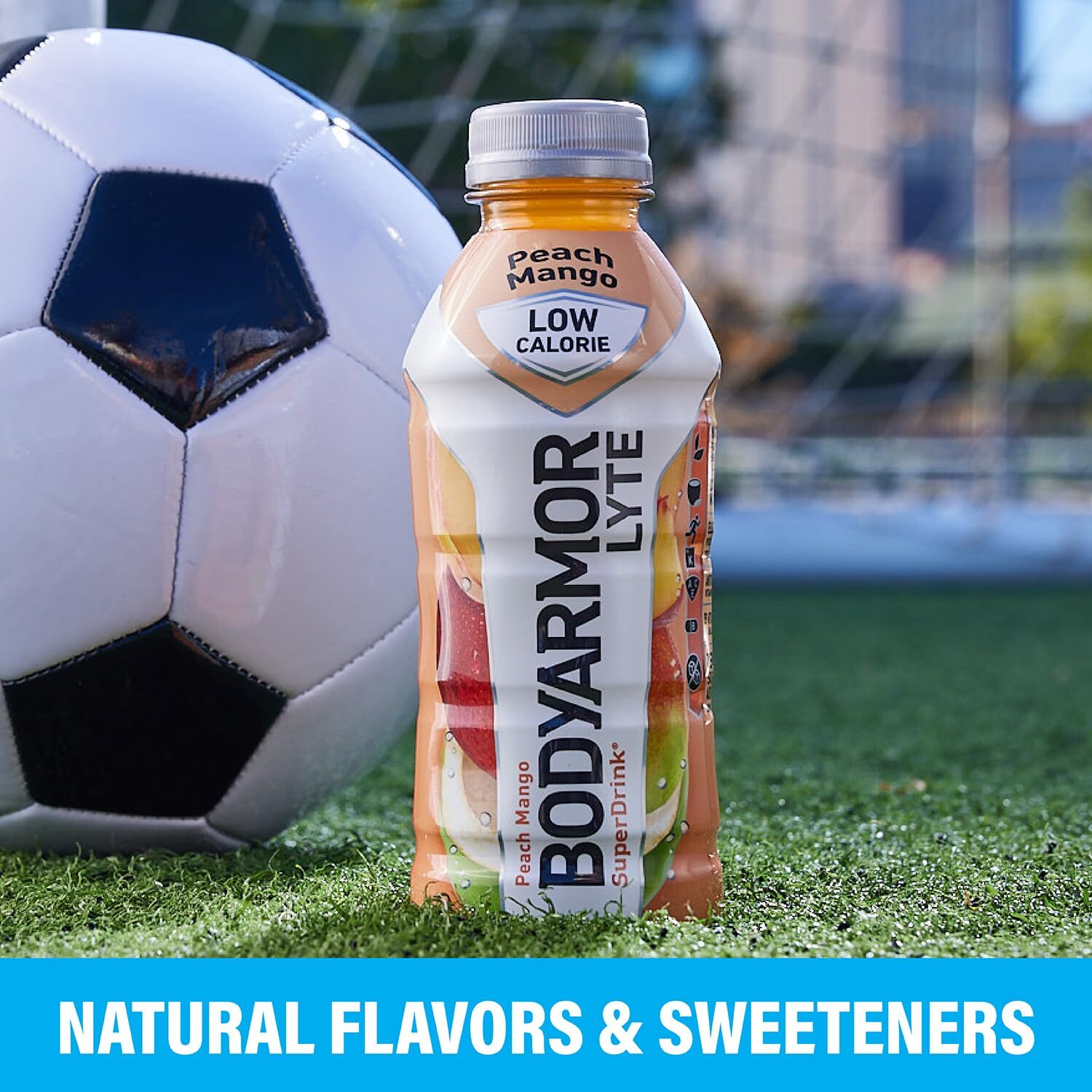 Lyte Sports Drink Low-calorie Sports Beverage, Blueberry Pomegranate,