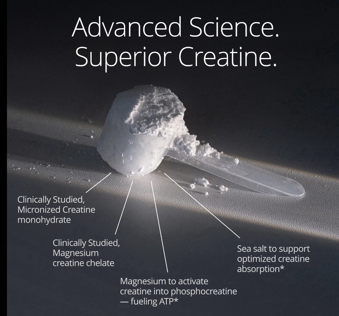 Qualia Creatine + Advanced Creatine Complex – 5.6 oz Magnesium 9/2027