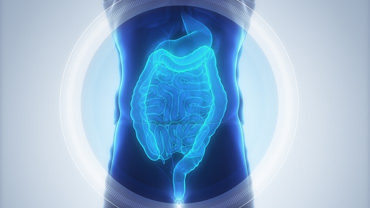 Better Oral Health Caps – Probiotic 40 Billion CFUs – Lactobacillus Brevis 2B