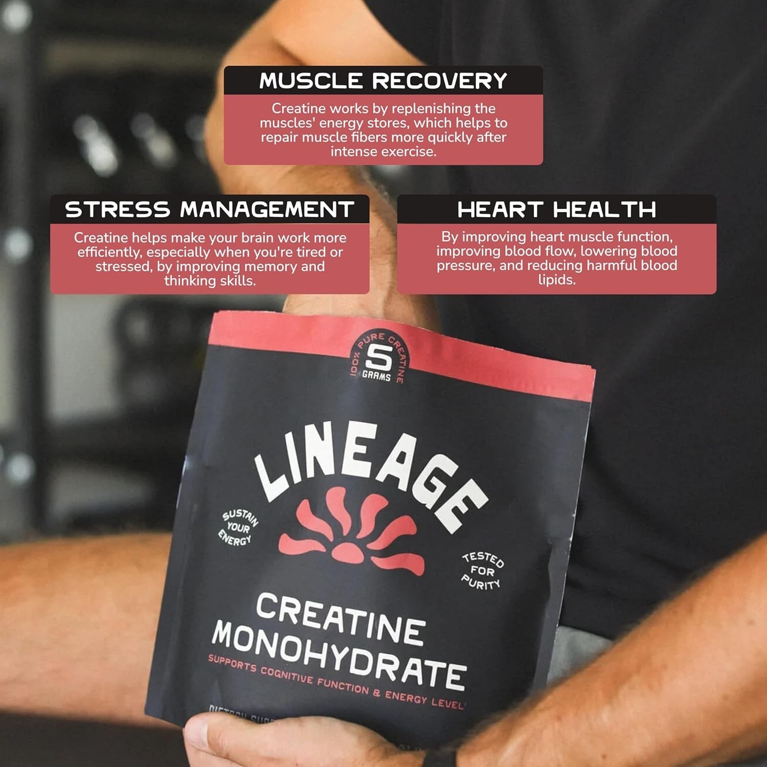 Lineage Provisions Creatine Monohydrate Powder Micronized Clean 90 Servings