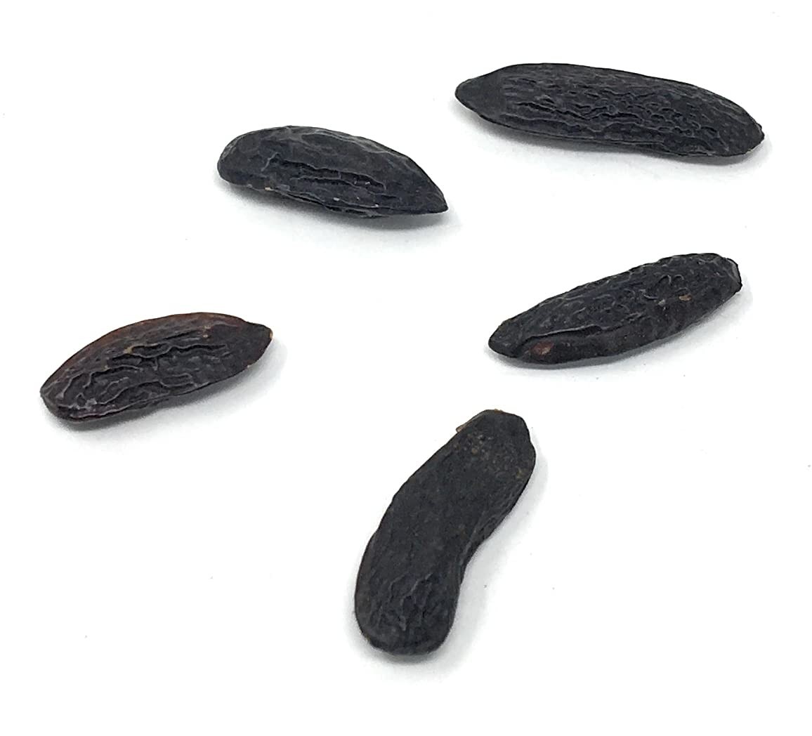 5 Premium Tonka Beans – Whole Natural – 100% 5 Count (Pack of 1)